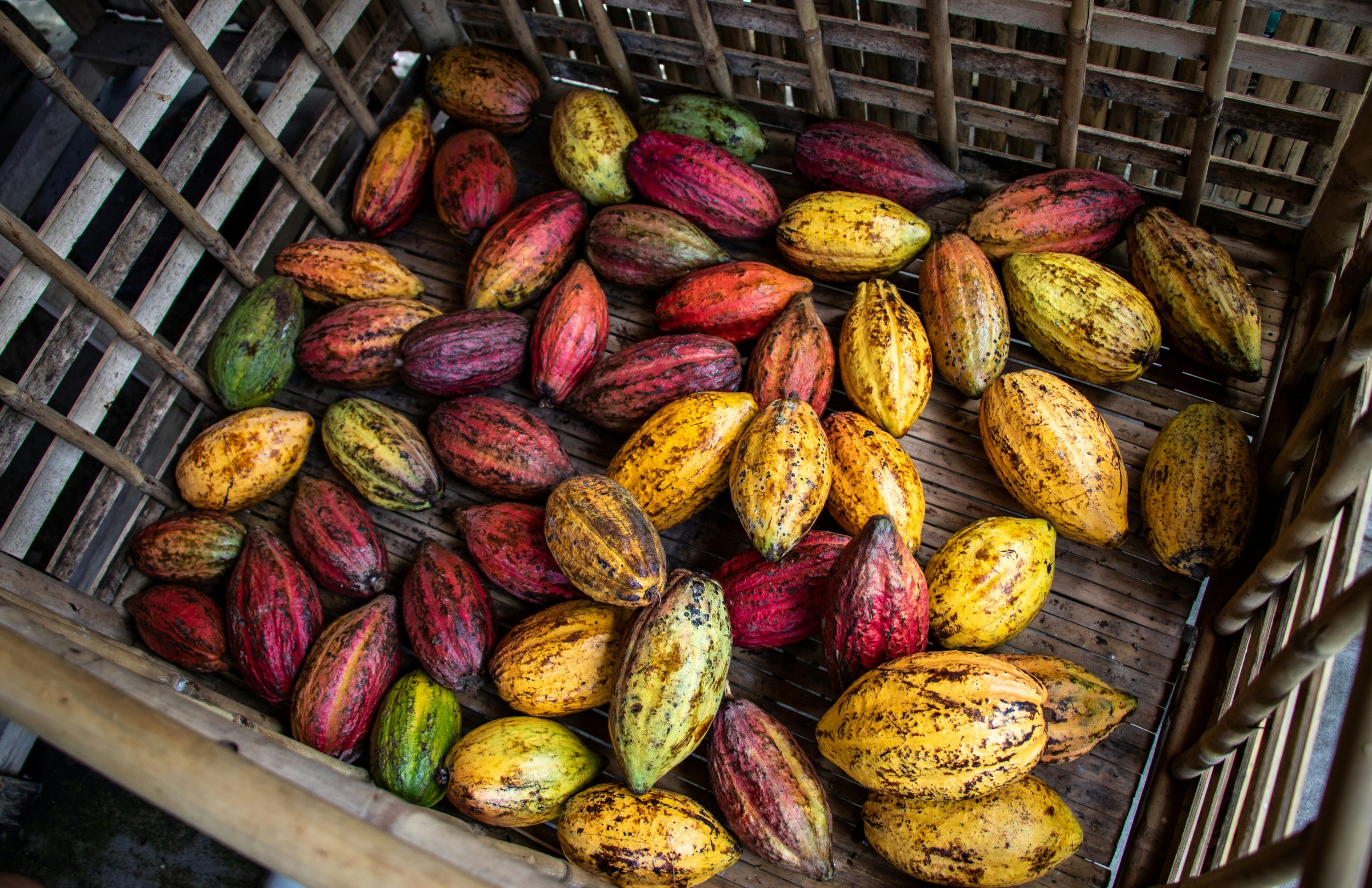 Dependency Theory and Ghana's Cocoa Economy