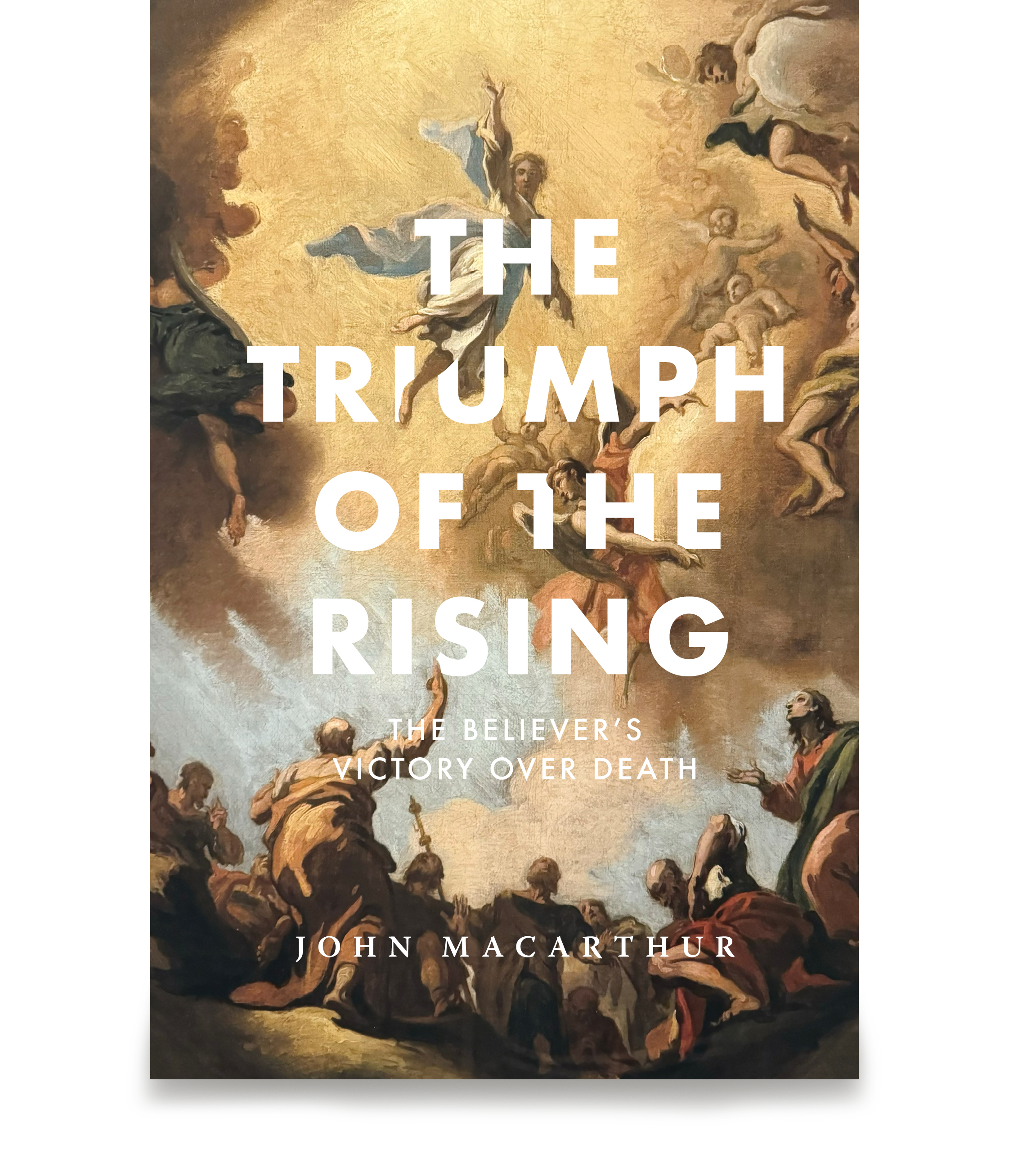 TGC_Anchor_rising.png