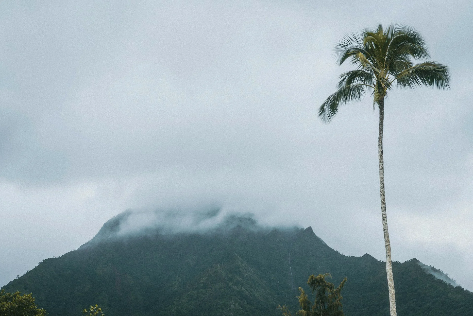 Hale Makai Cottages photo 1 in Hanalei