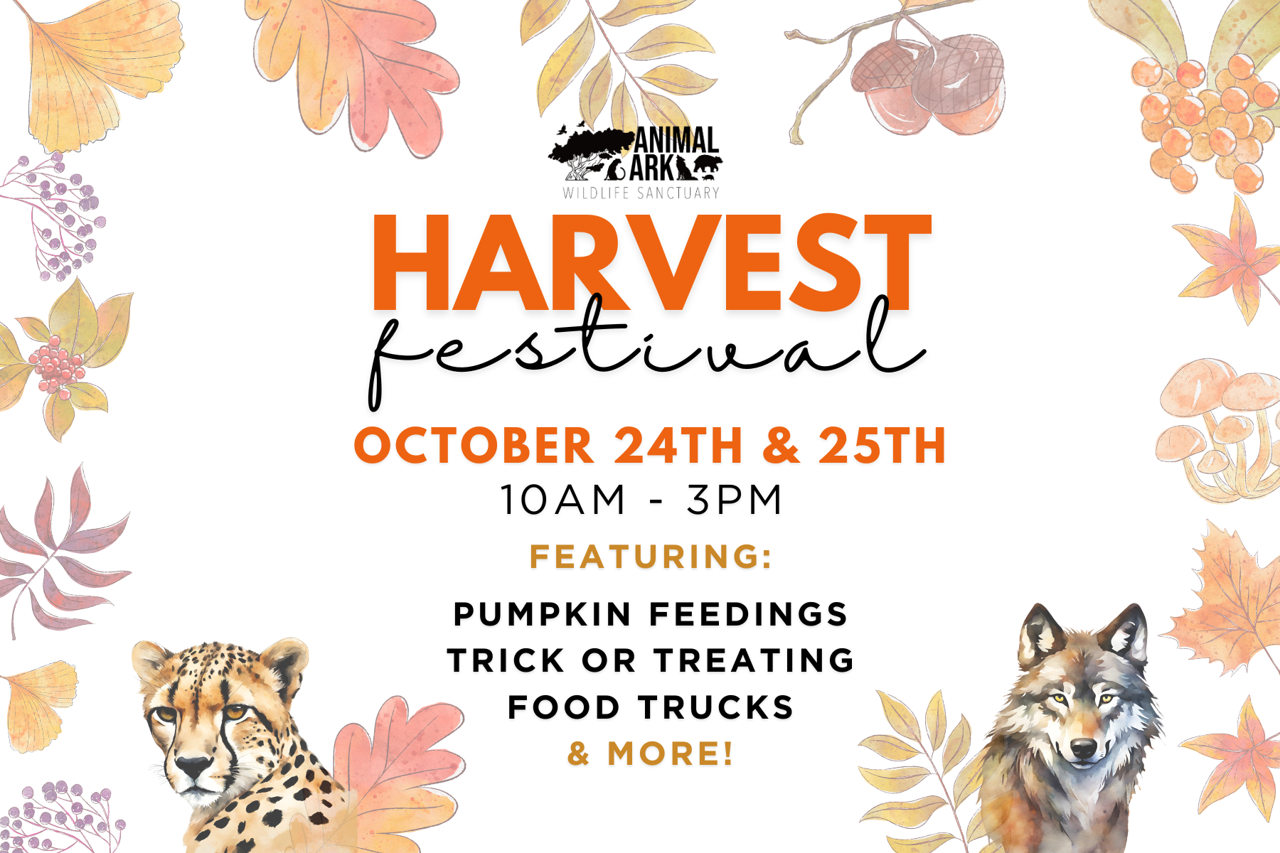 Harvest Festival
