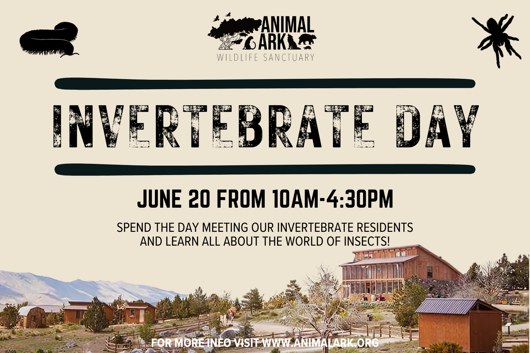 Invertebrate Day