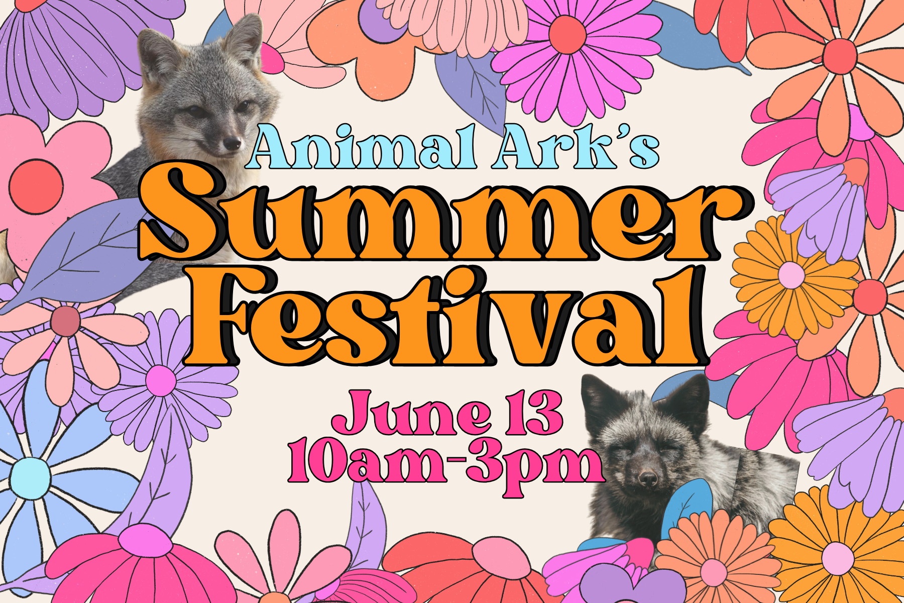 Summer Festival
