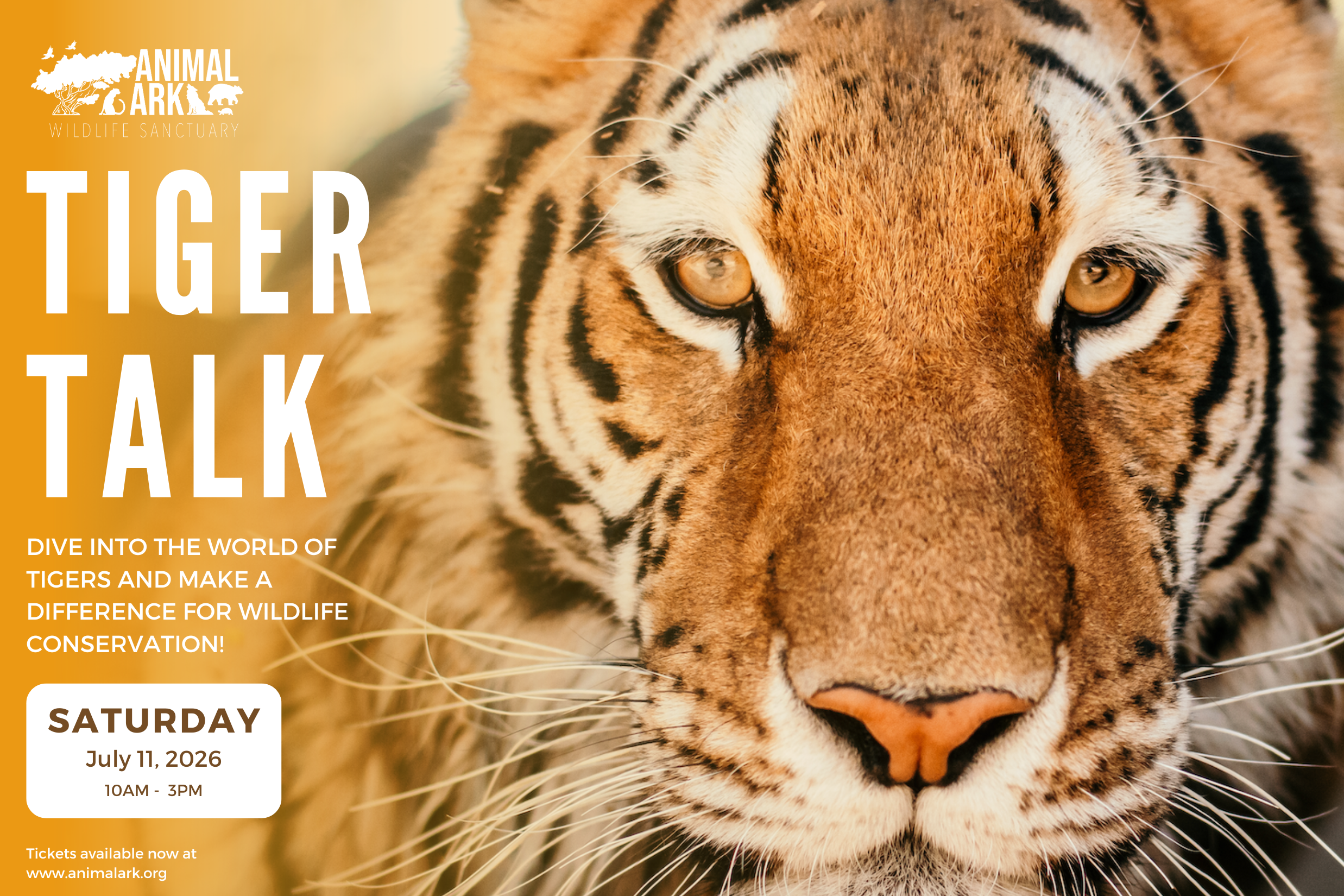 Tiger Talk at Animal Ark