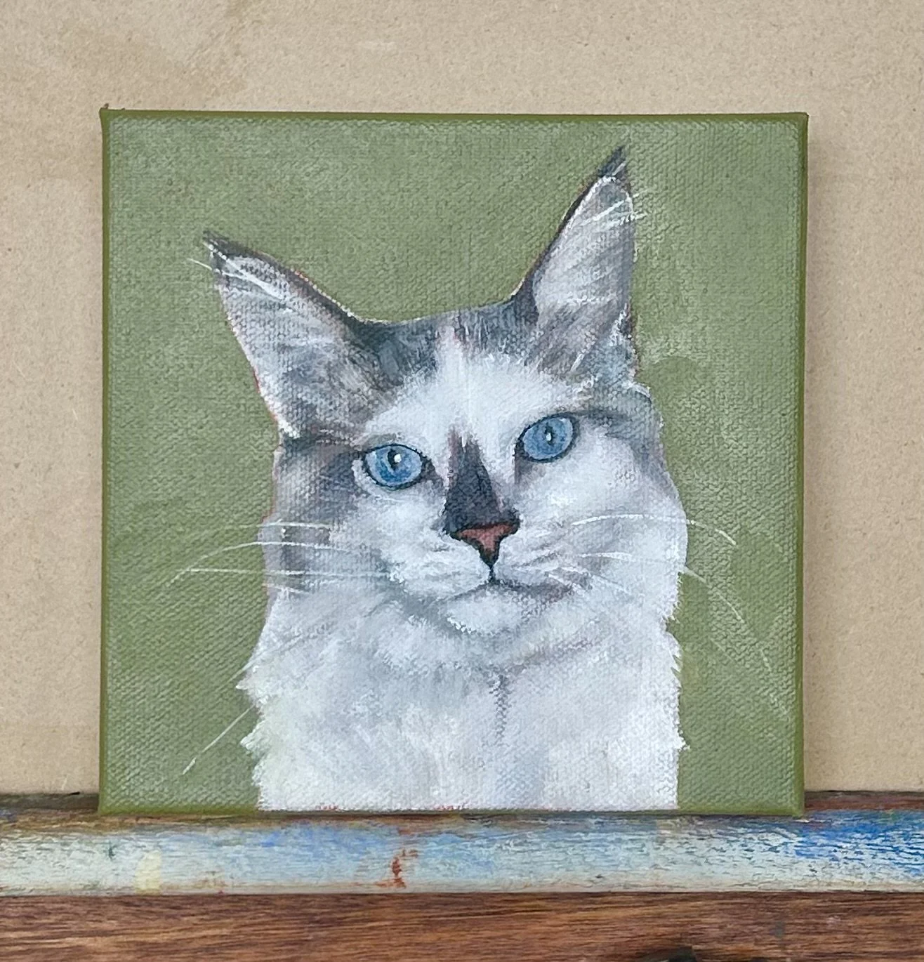 blueeyekitty.jpg