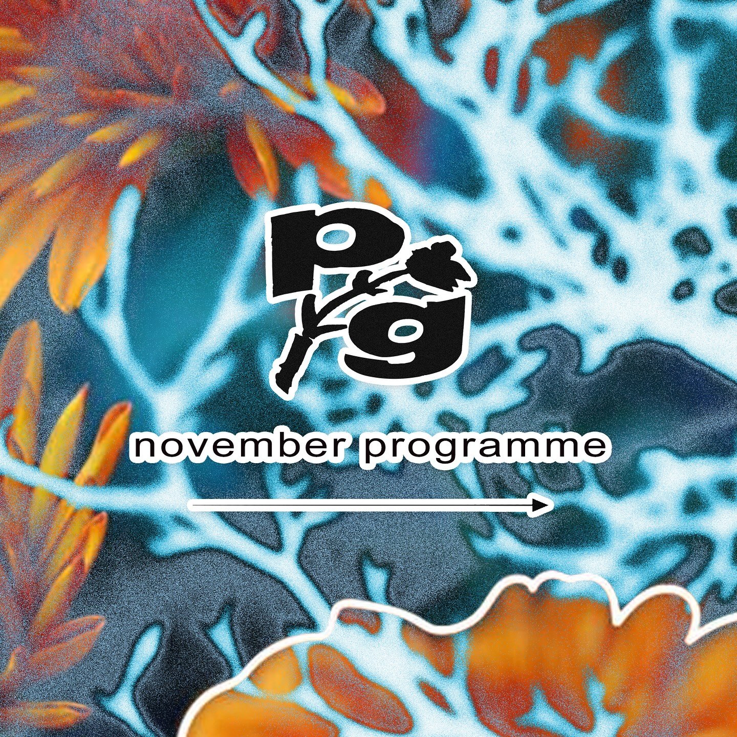 November coming in strong at PG 🍁✨

We&rsquo;re also hosting an external show at Jacobs Basement this month with Tash LC on 14th November - be sure to grab a ticket, it will be guaranteed 🔥🥵🌴

November at PG ft.
@chainofflowersband 
@david_j_bull