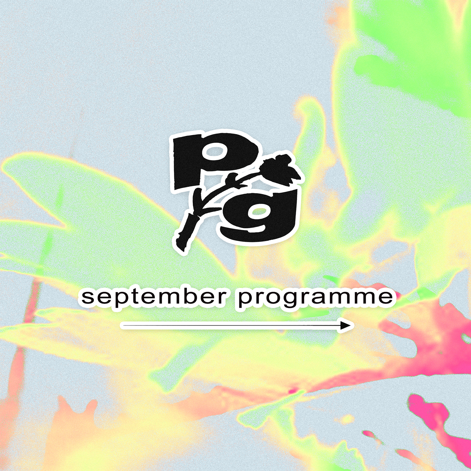 1 sept 2026.png