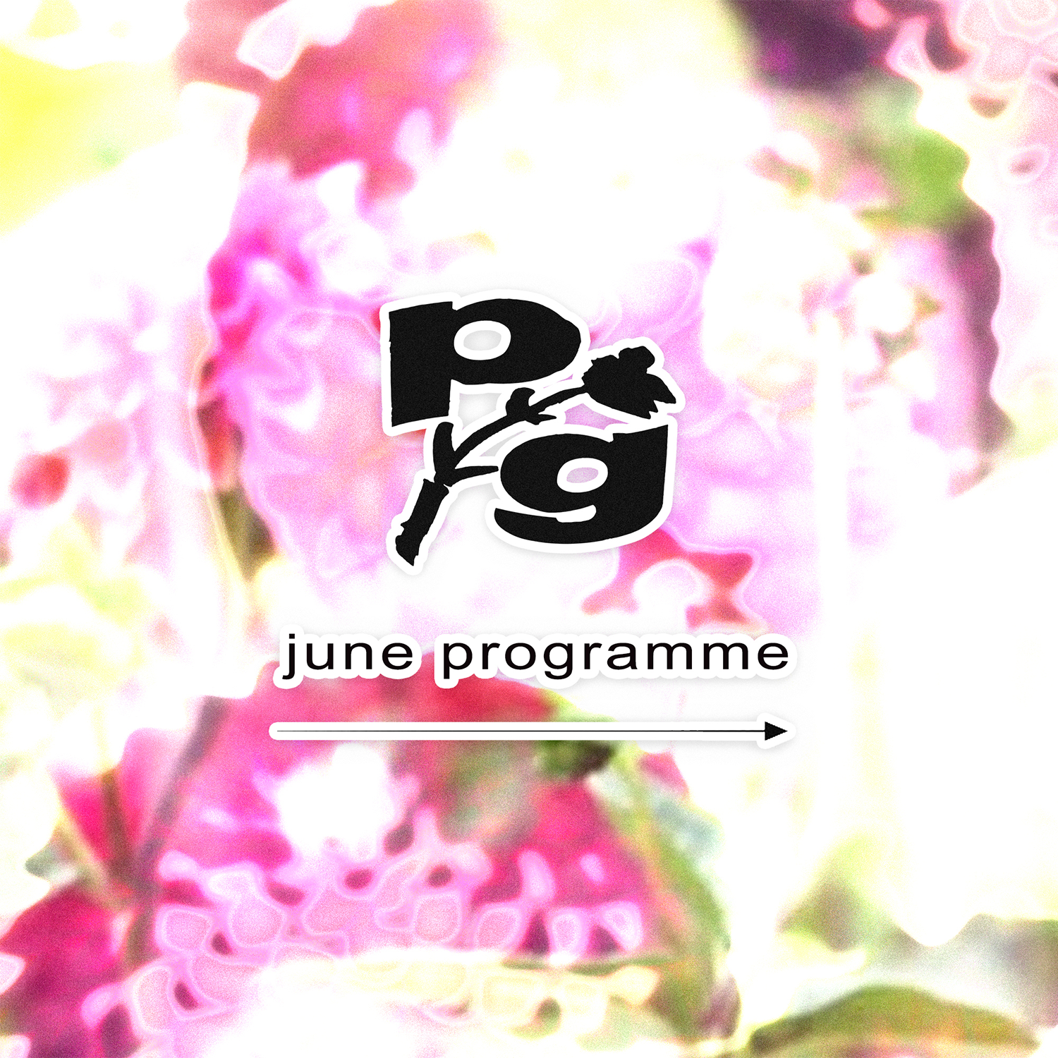 1 2026JuneProgramme.png