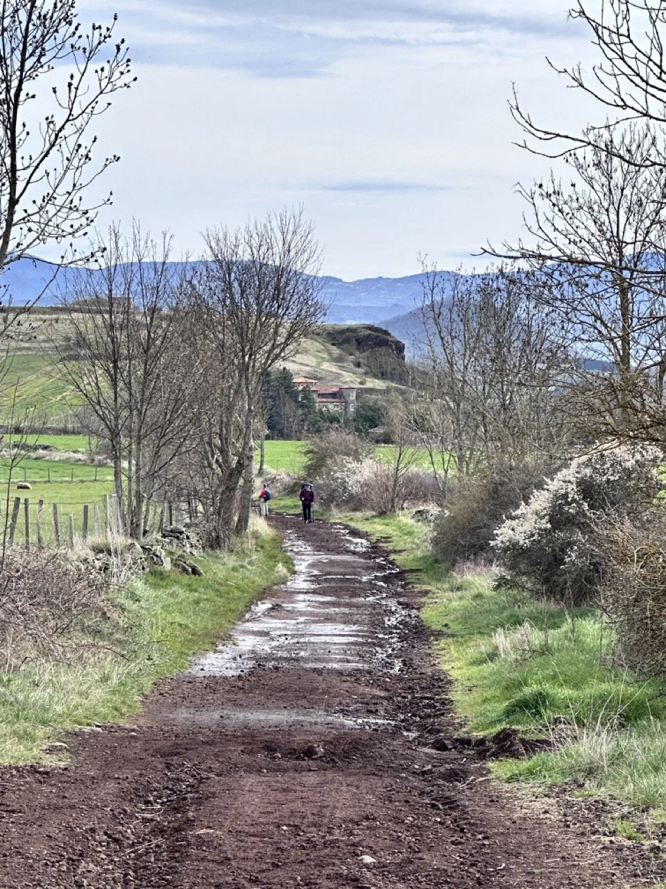 view from the trail Large.jpeg