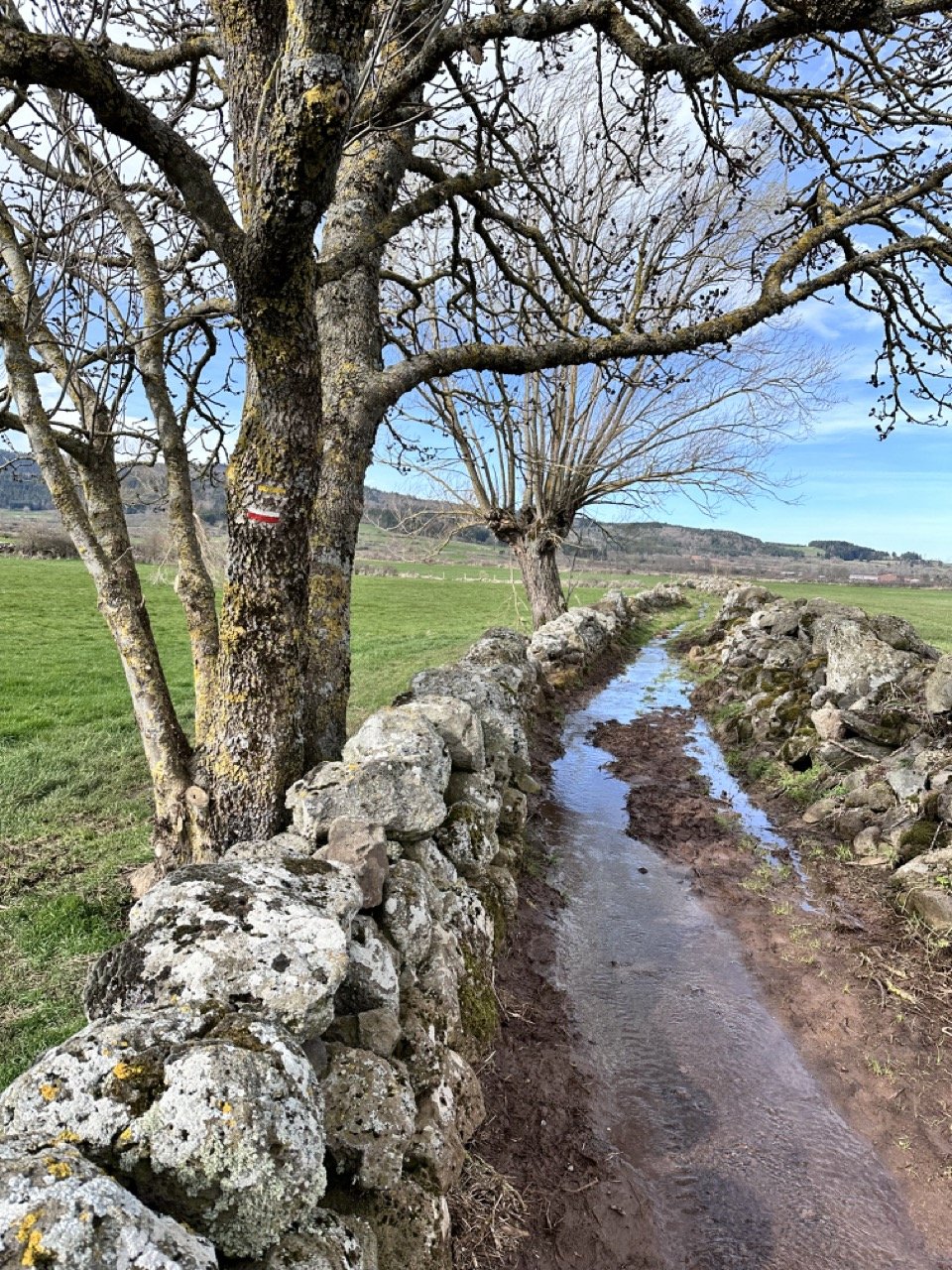 muddy trail Large.jpeg