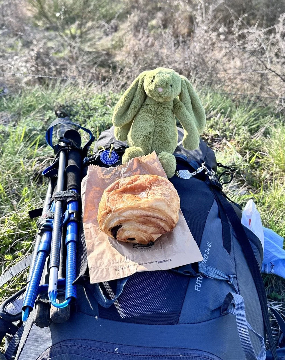 bunny on pack Large.jpeg