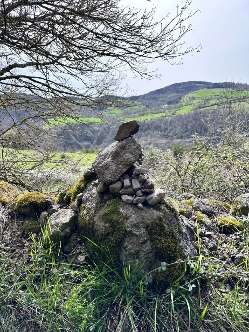 rock carin  Large.jpeg