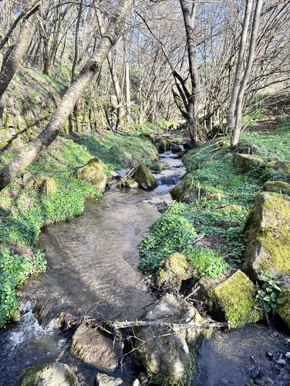 stream on the trail Large.jpeg