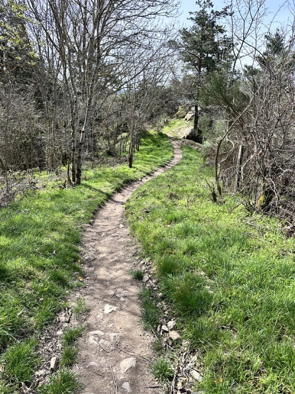 winding trail Large.jpeg