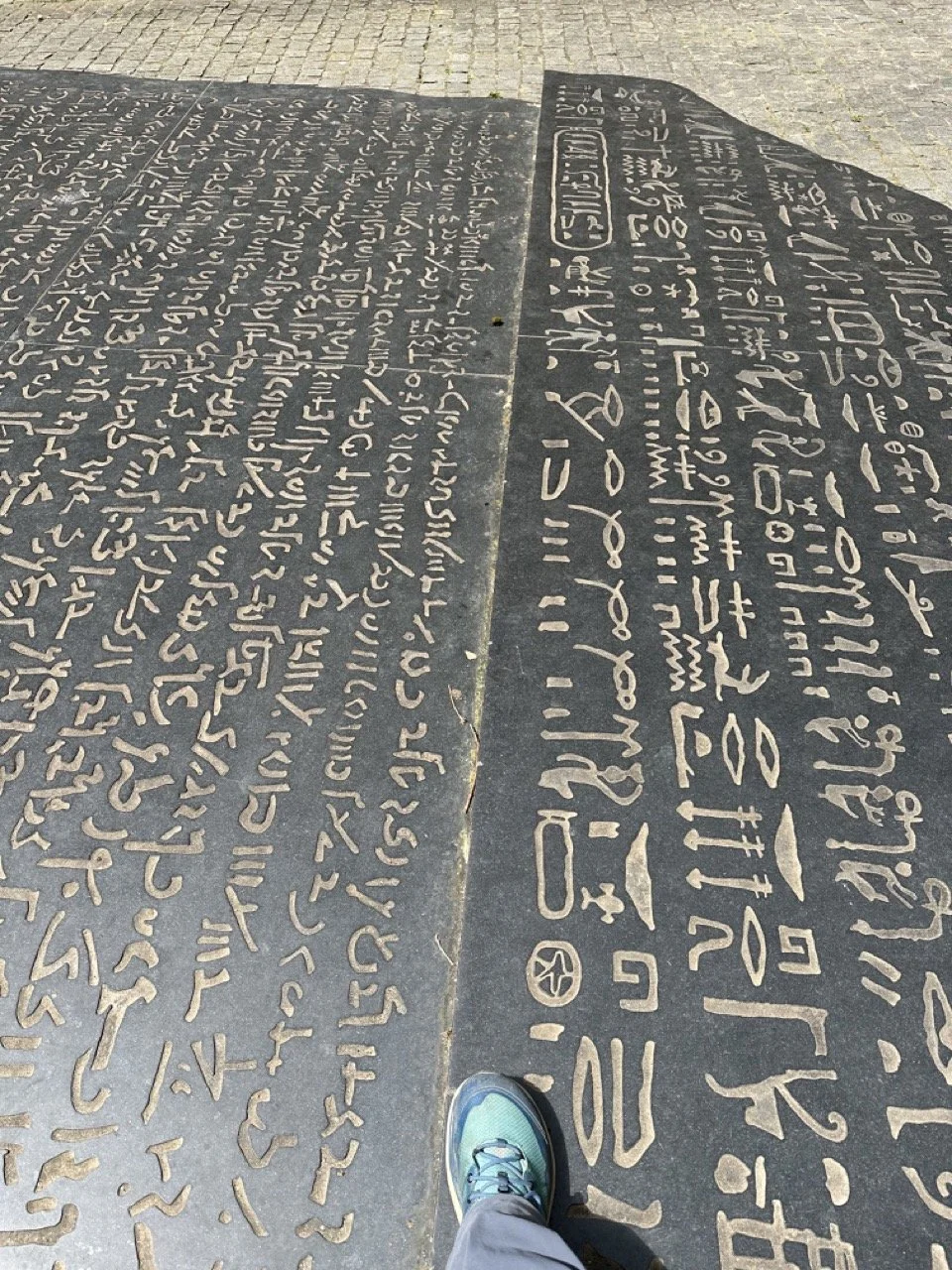 24-0423 Language Large.jpeg