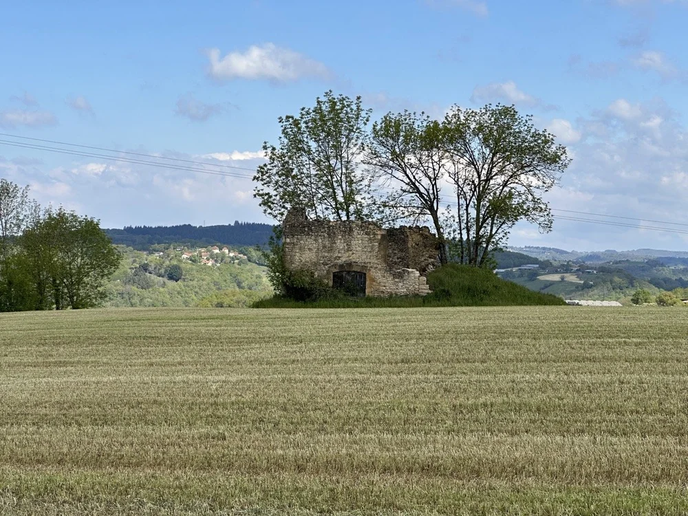 24-0423-1-rock wall building in a field Large.jpeg