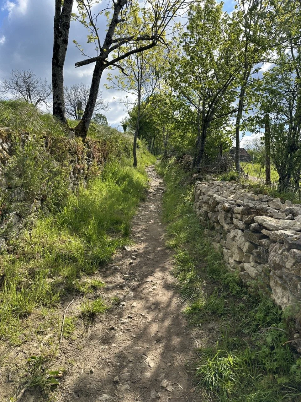 24-0423-2-trail next to rock wall Large.jpeg