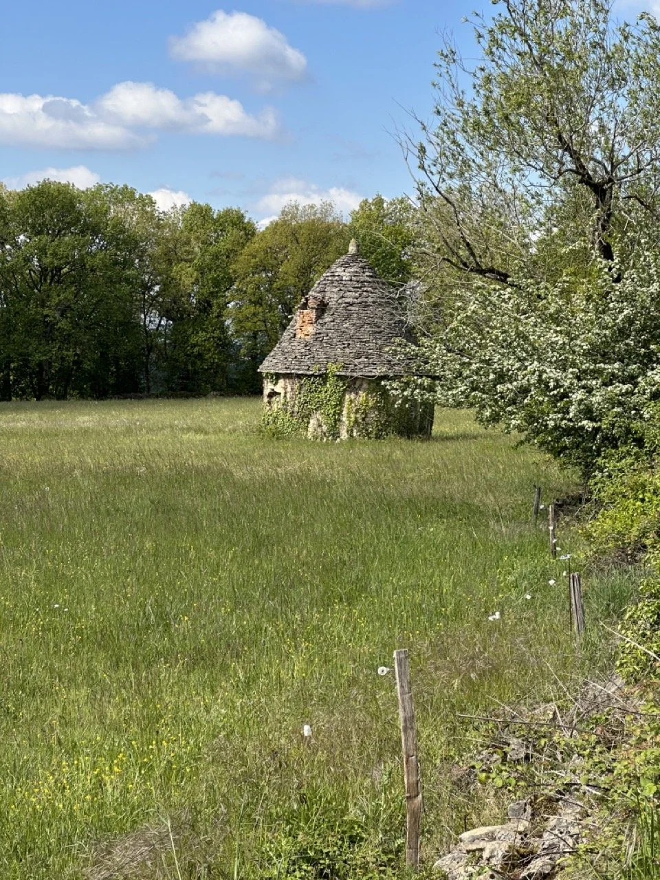 24-0423-5-stone building in field Large.jpeg