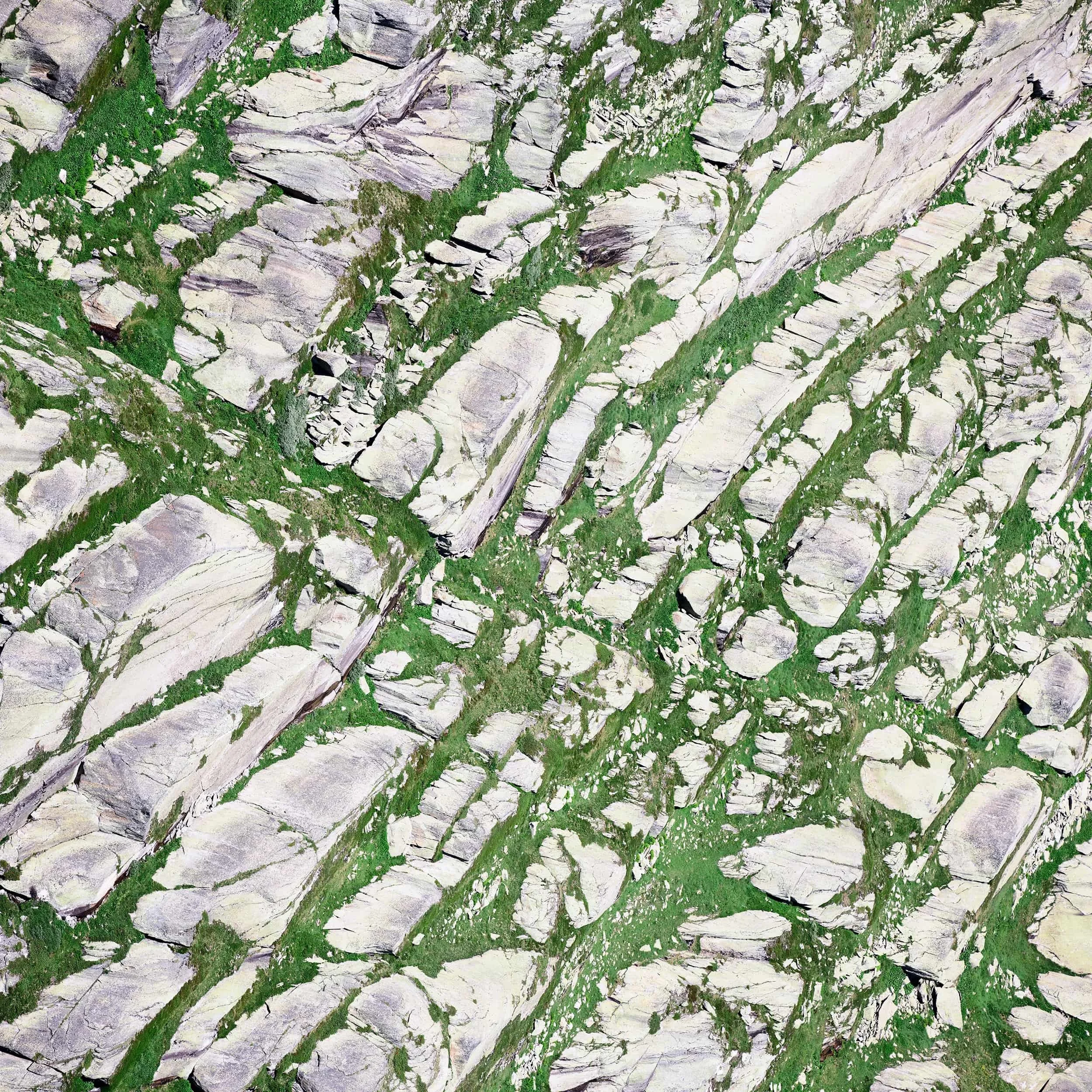 Grimsel, Switzerland 2025, Plate 6