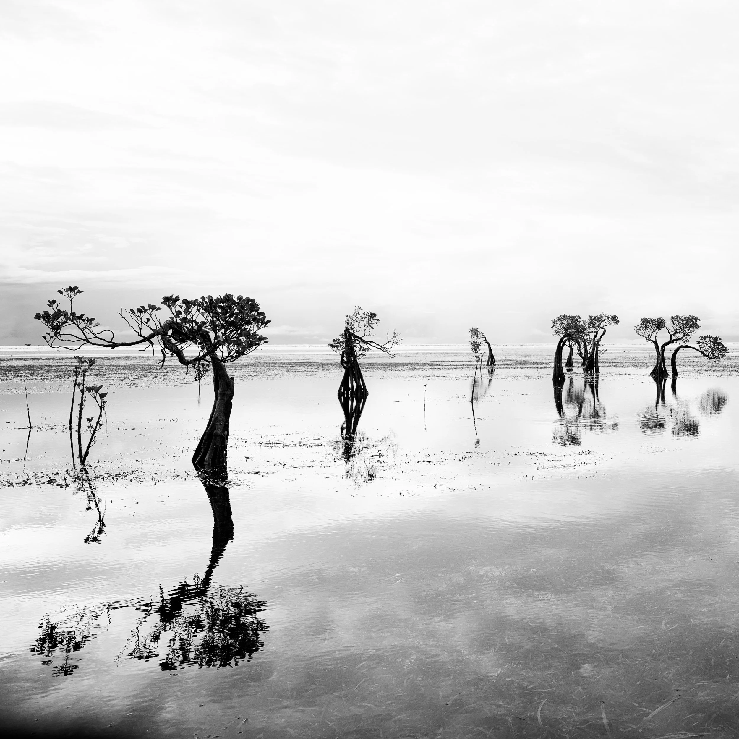 Foto s/w Walakiri Sumba petermeier-photography.com