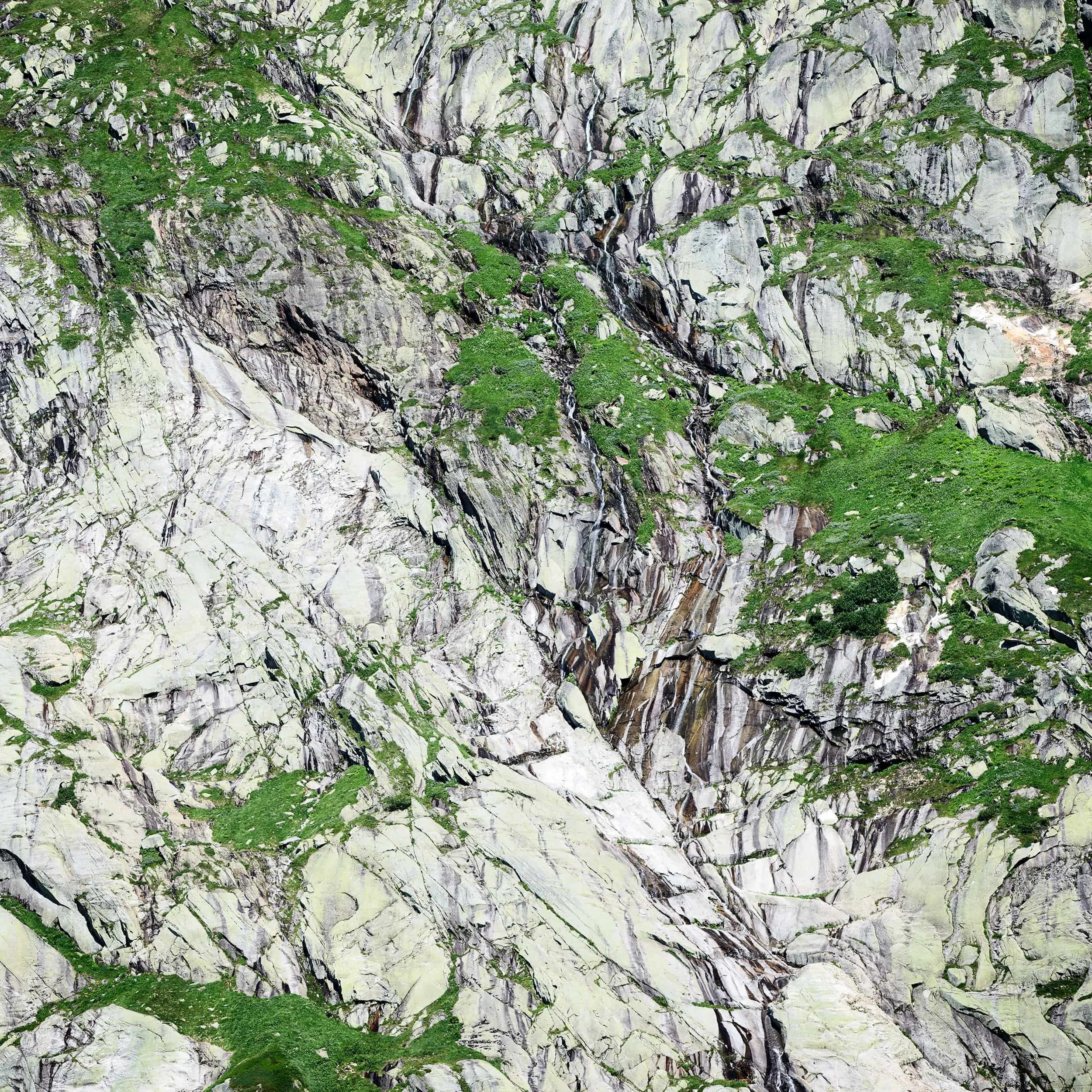 Grimsel, Switzerland 2025, Plate 5