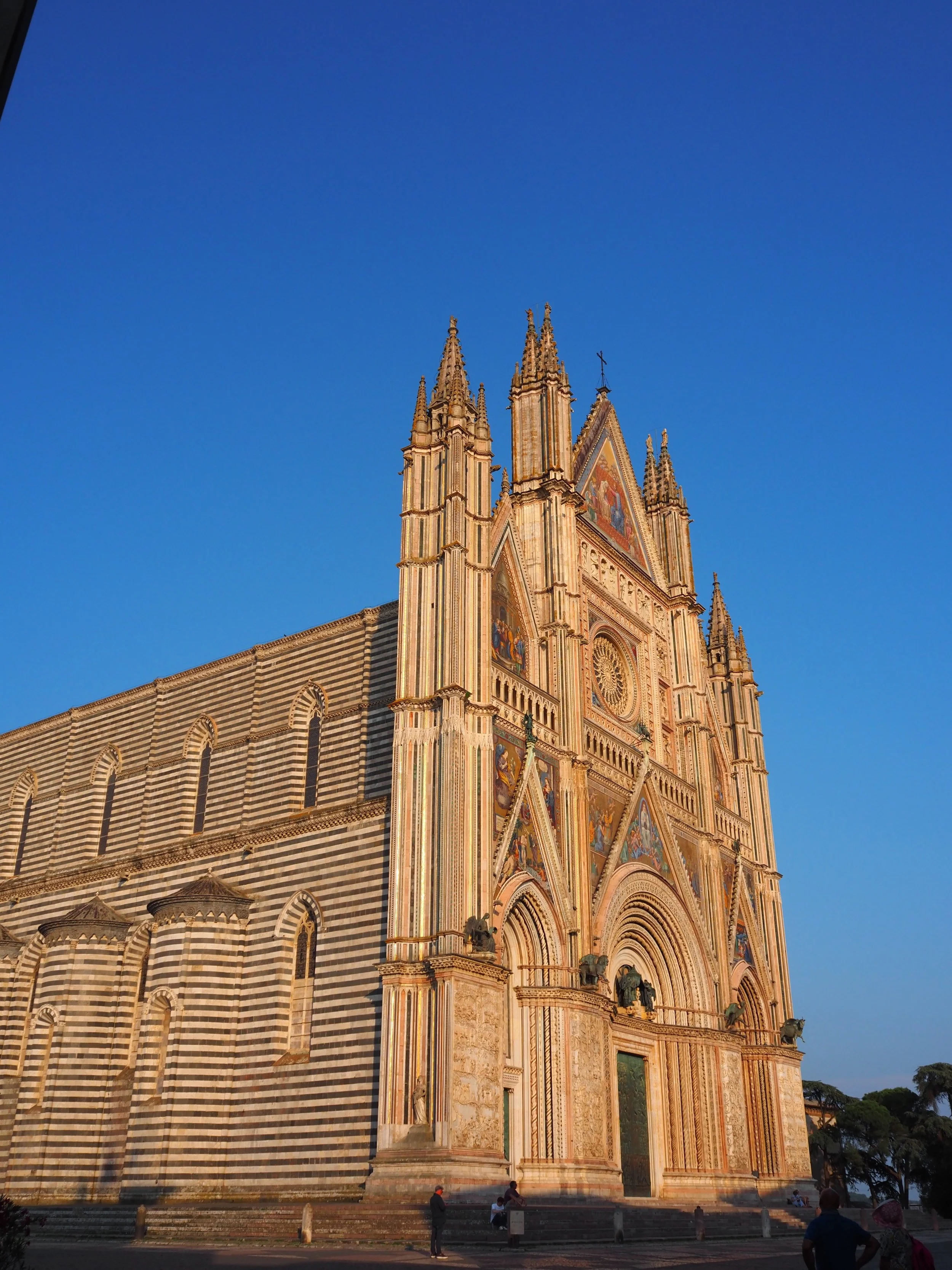 IMG_5764_Original.jpg