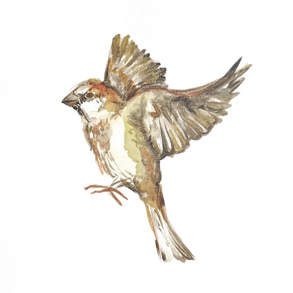 Screenshot 2024-07-31 at 10.15.46 AM.png