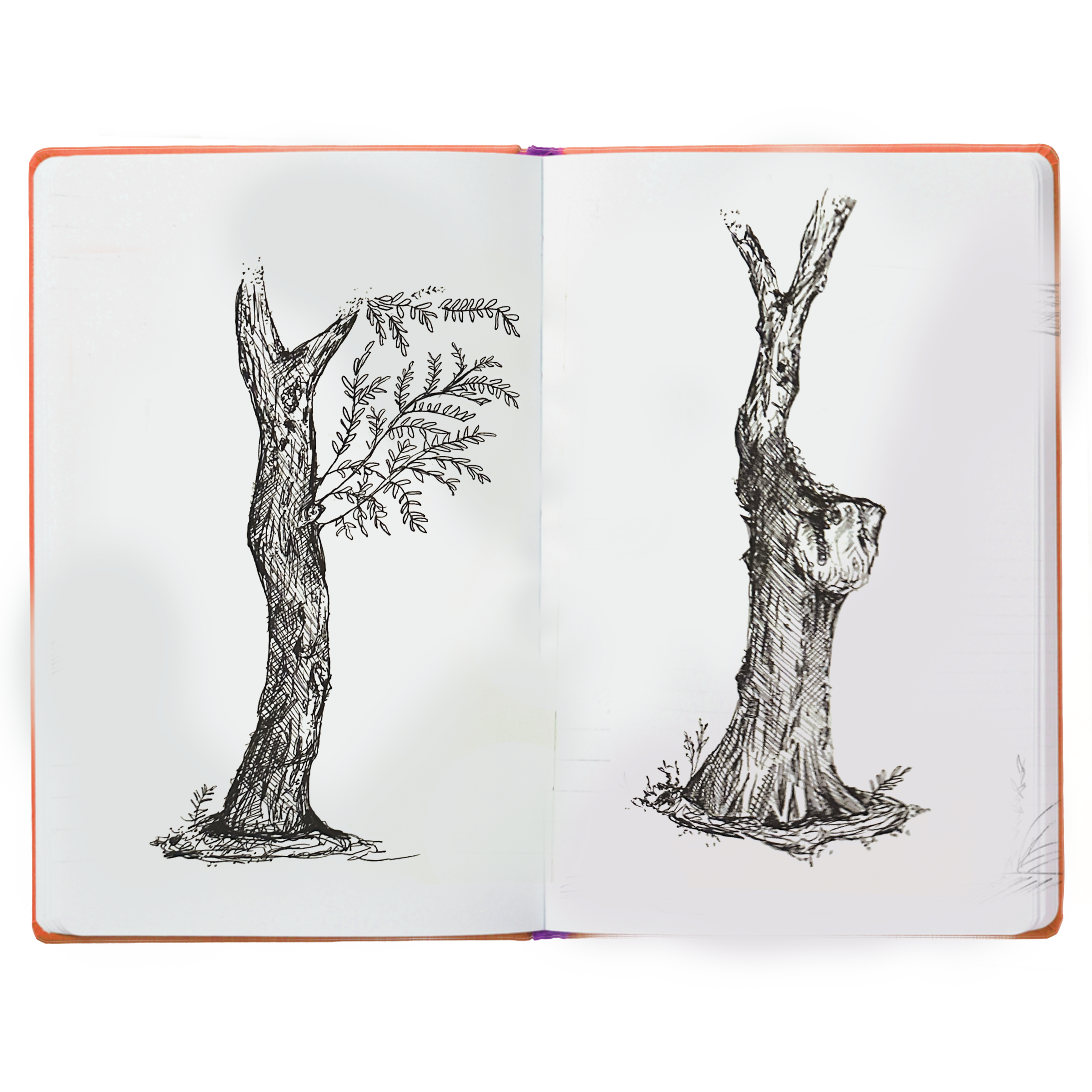 Sketch5.png