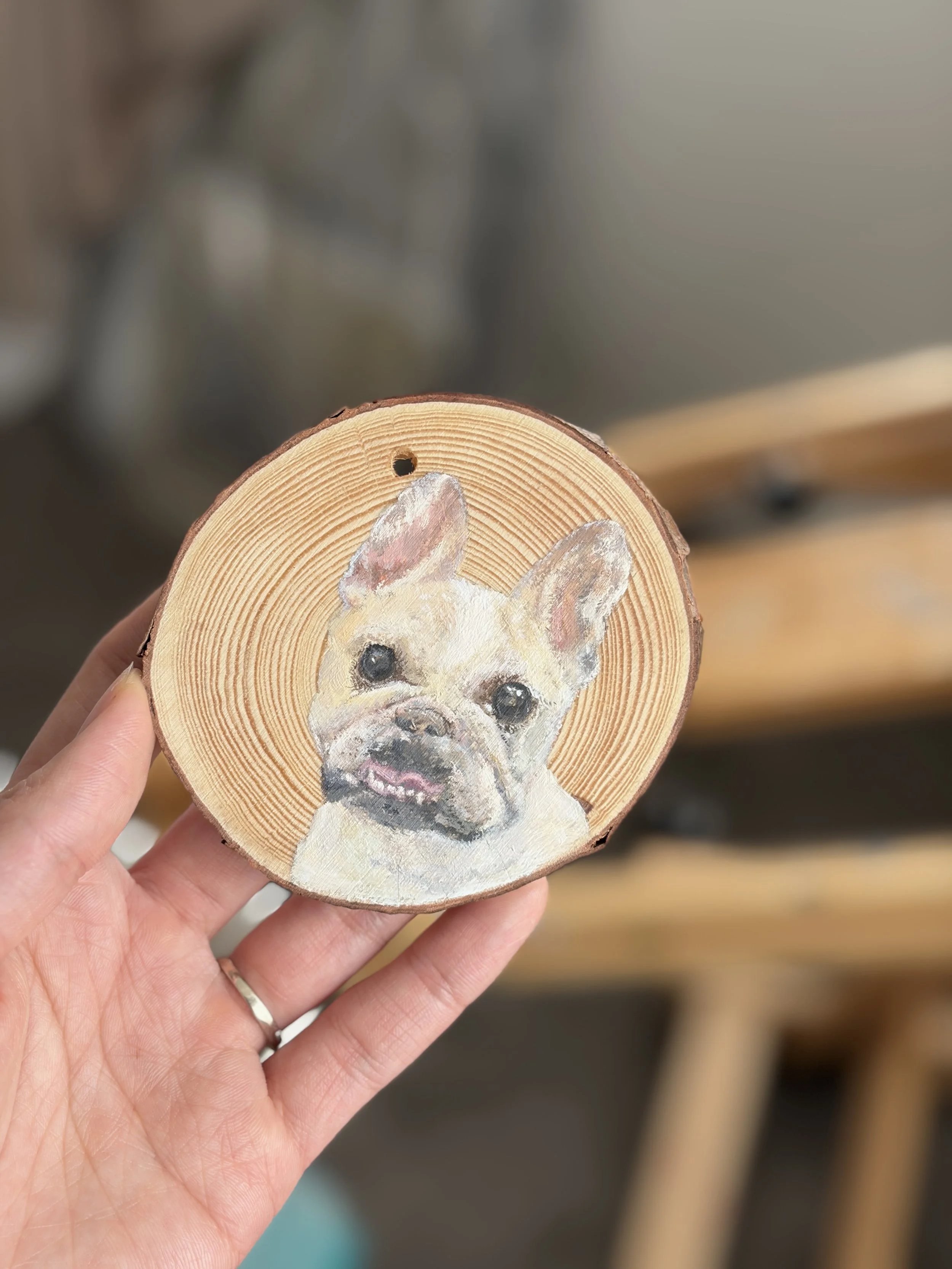Pet Portrait