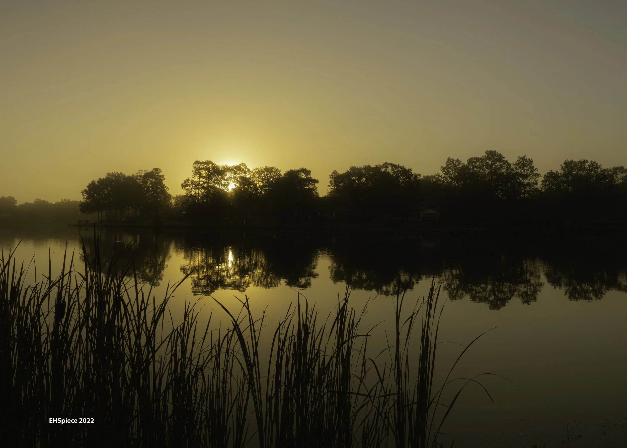 5N9A2266-HDR-Edit copy.jpg