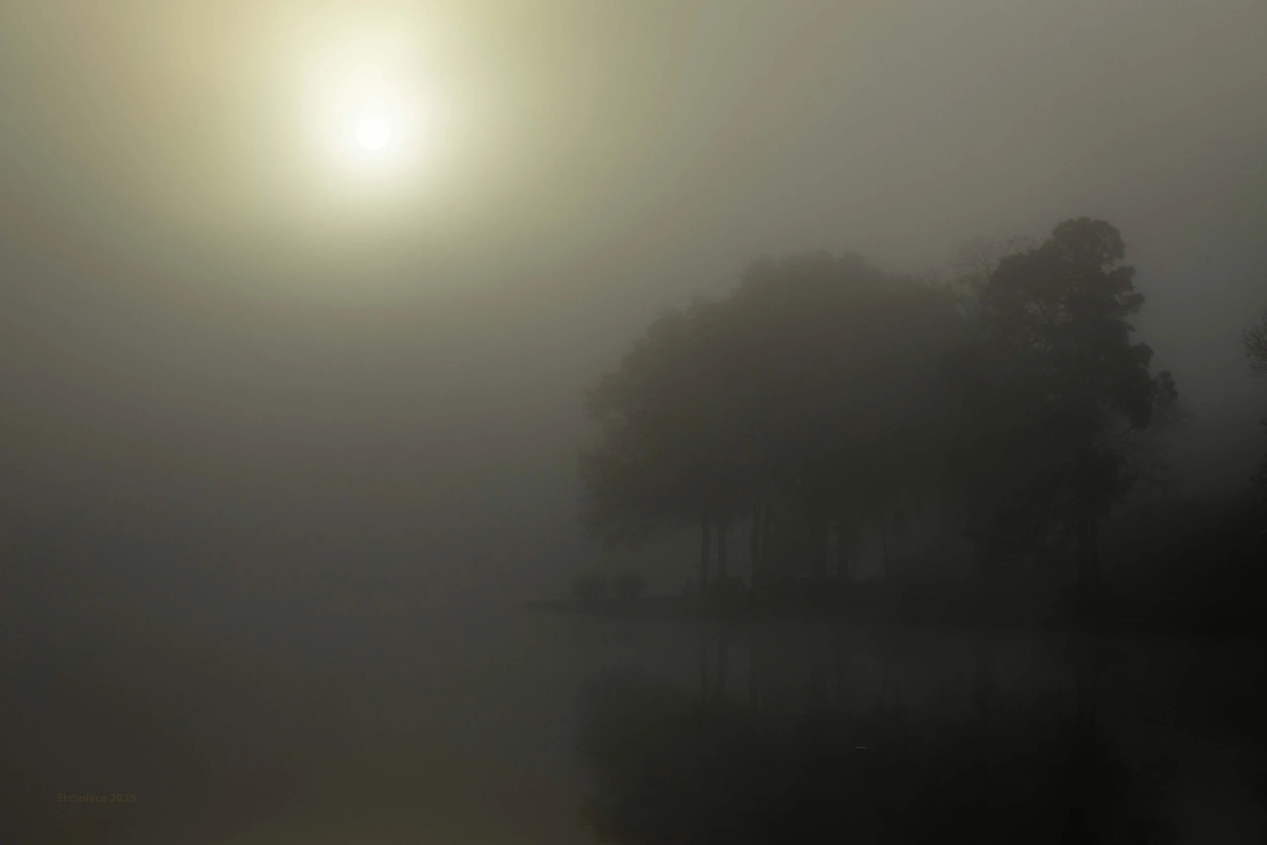 5N9A0239-Low Res.jpg