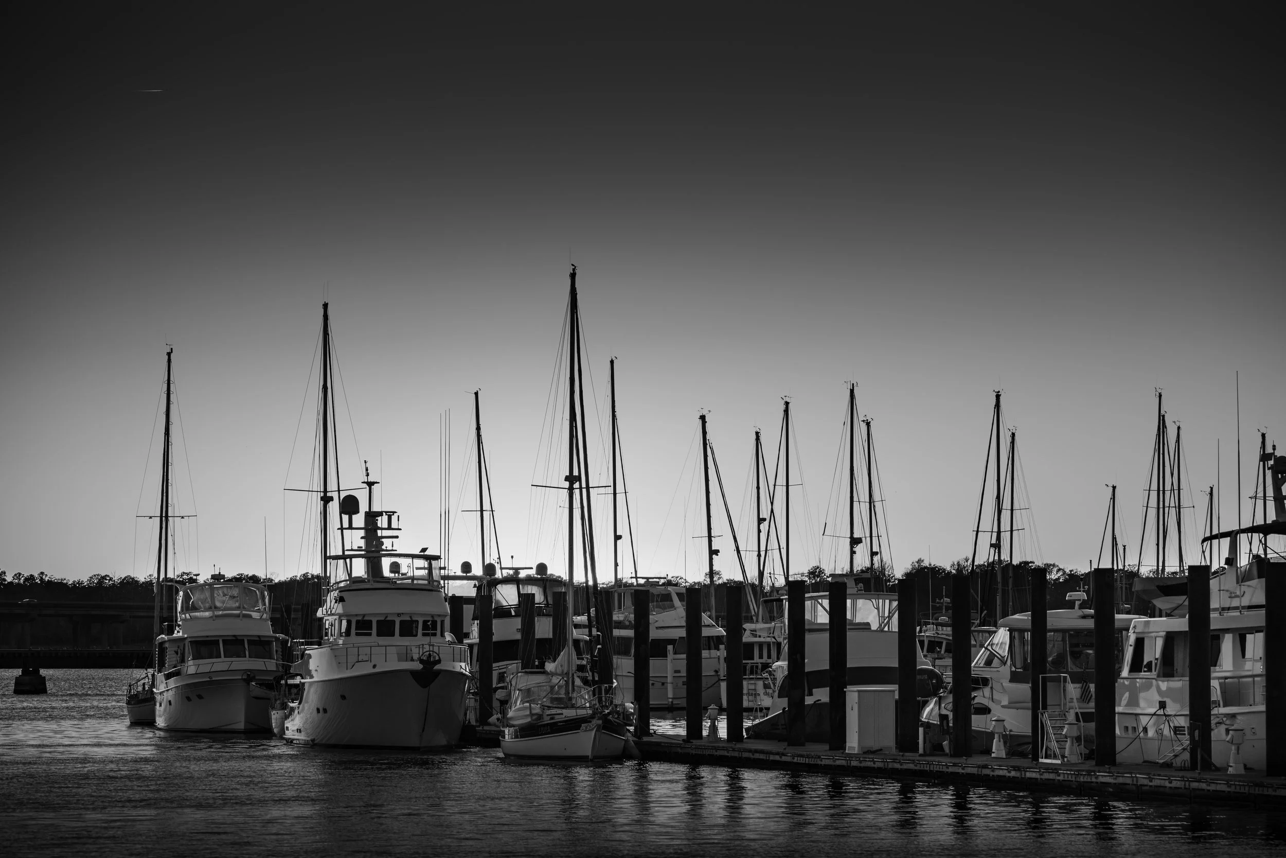 5N9A7693-Edit copy.jpg