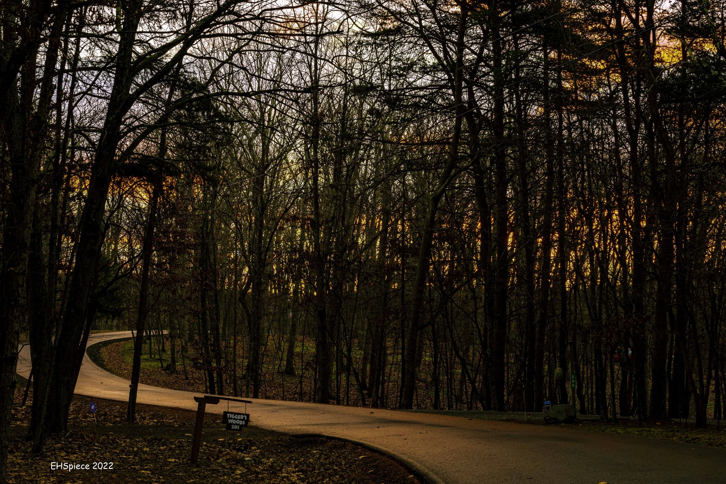5N9A2527-HDR- The Woods West Virginia.jpg