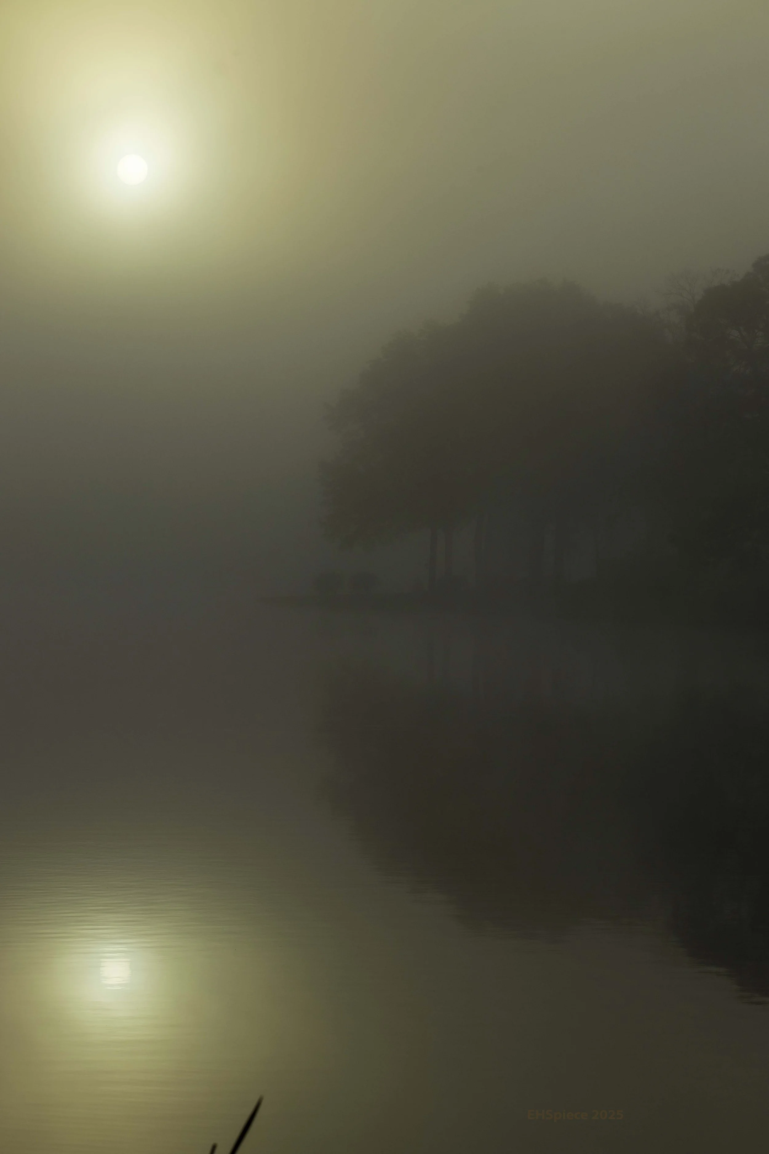 5N9A0238-Low Res.jpg