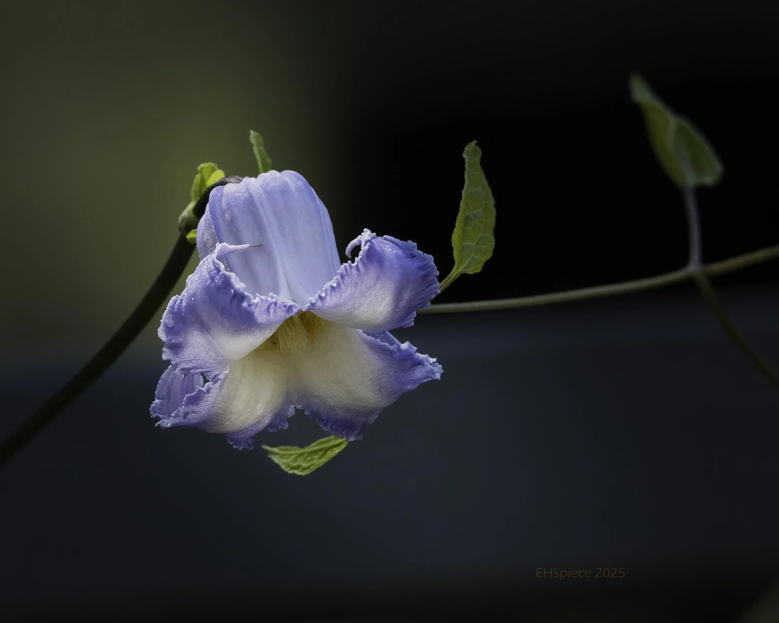 5N9A0282-Edit-Low Res.jpg