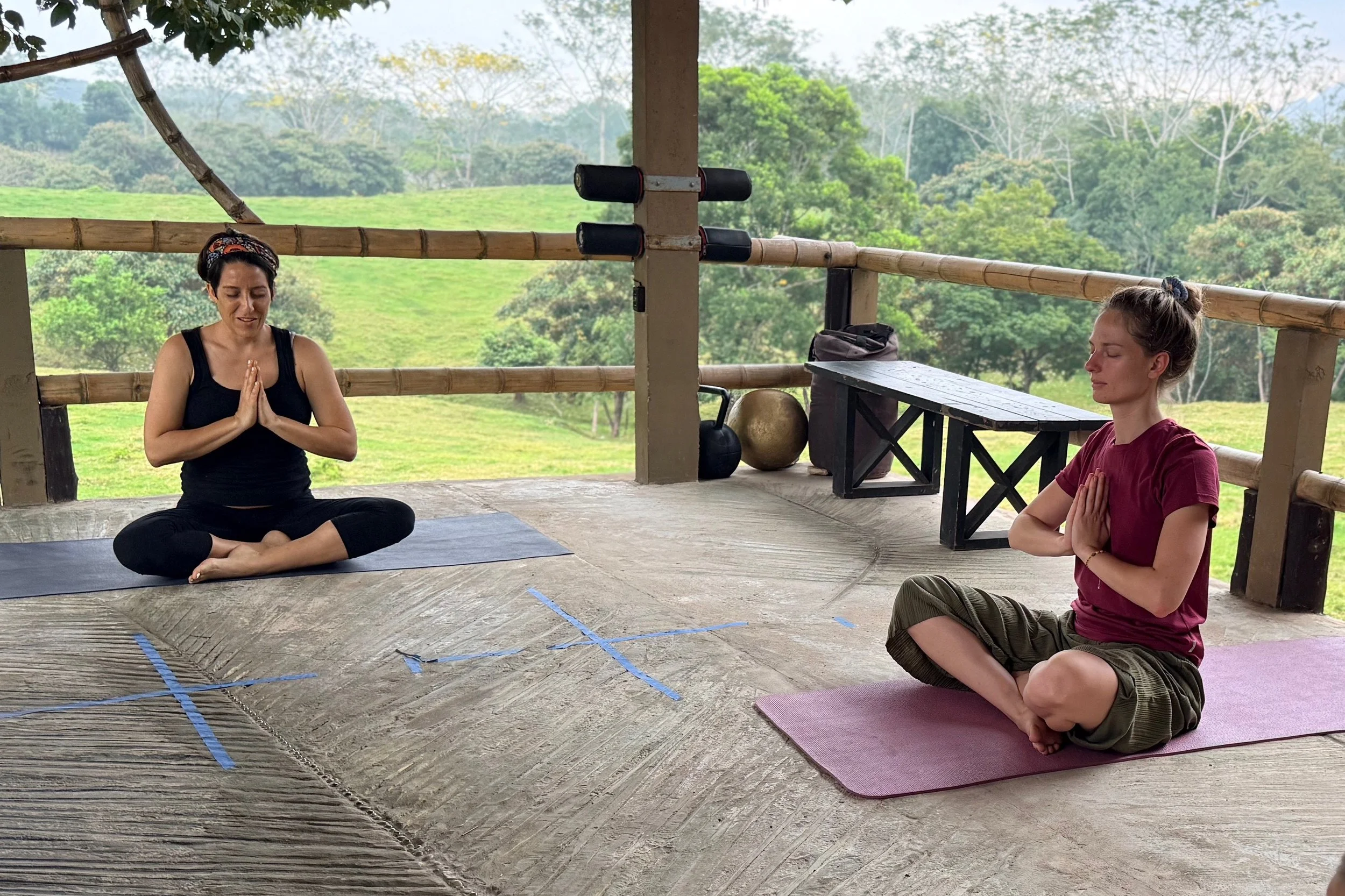 yoga 3.jpg