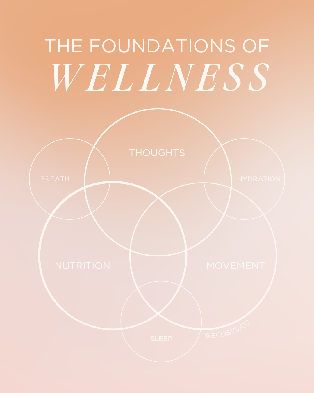 REVAMP May 2024 ECOSYS Social Graphics.png