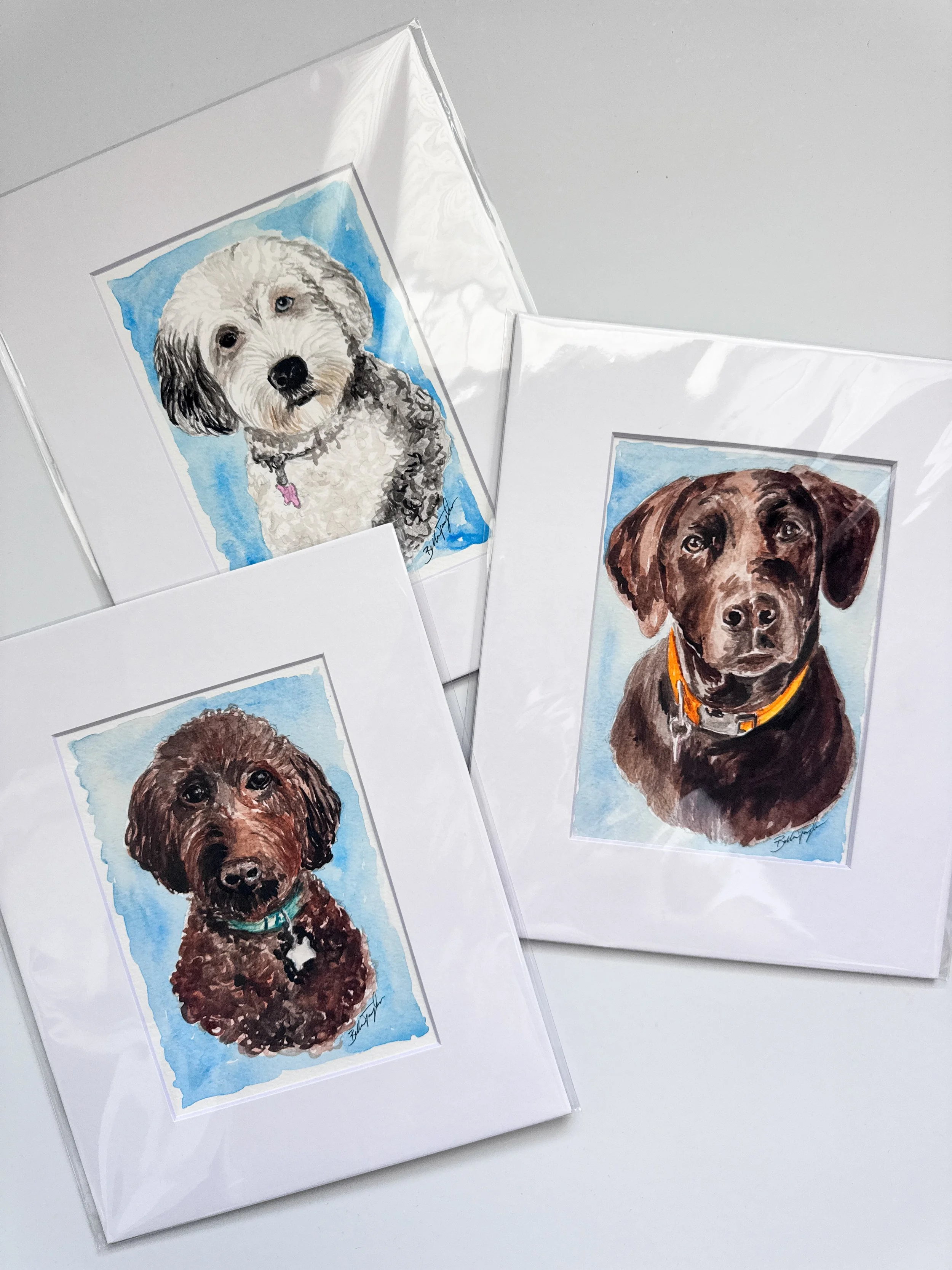 Watercolor portraits of three dogs with a blue background, displayed in clear plastic sleeves.