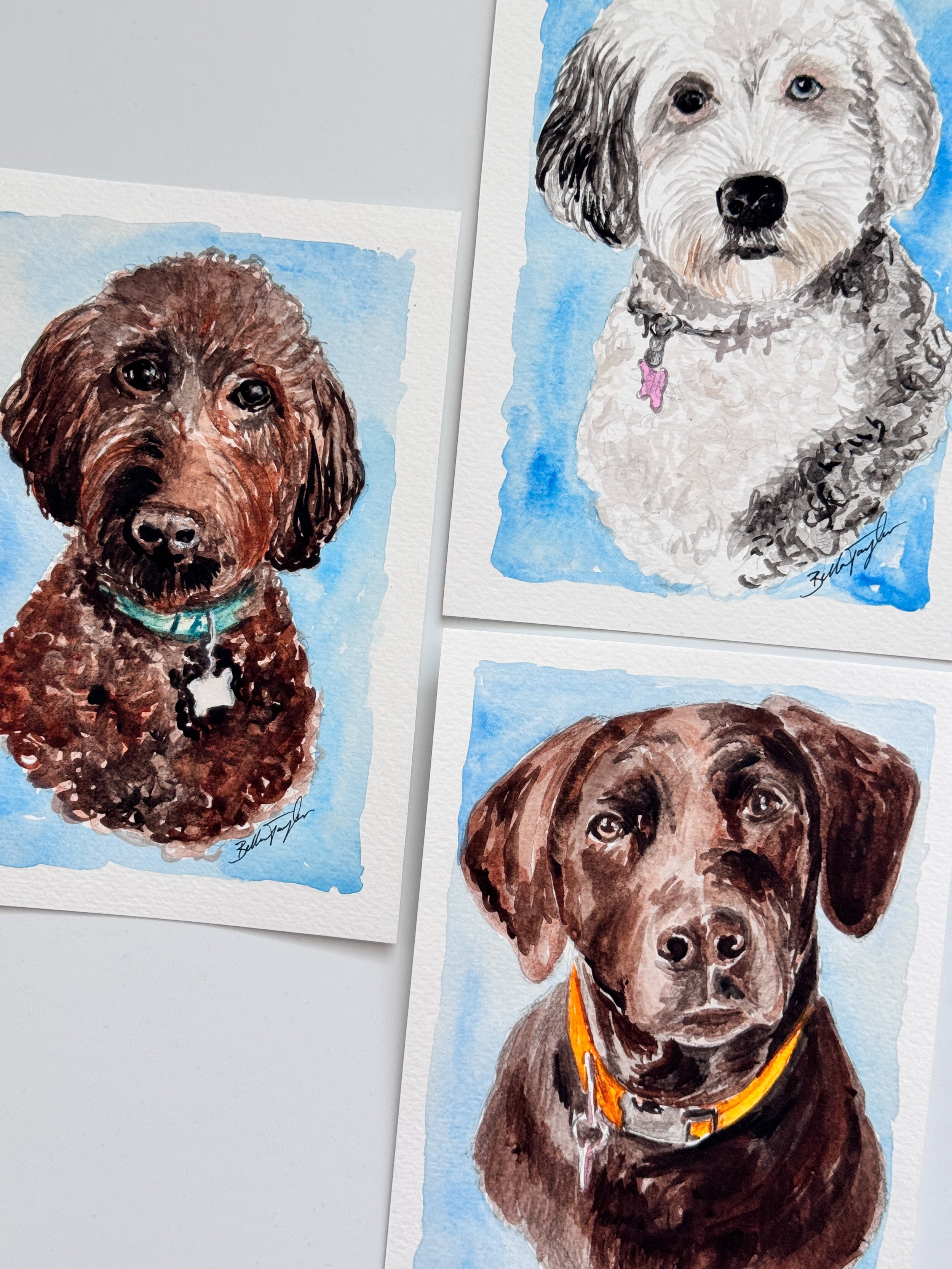 Watercolor portraits of three dogs with brown, white, and black fur, each with distinct facial features and background colors.
