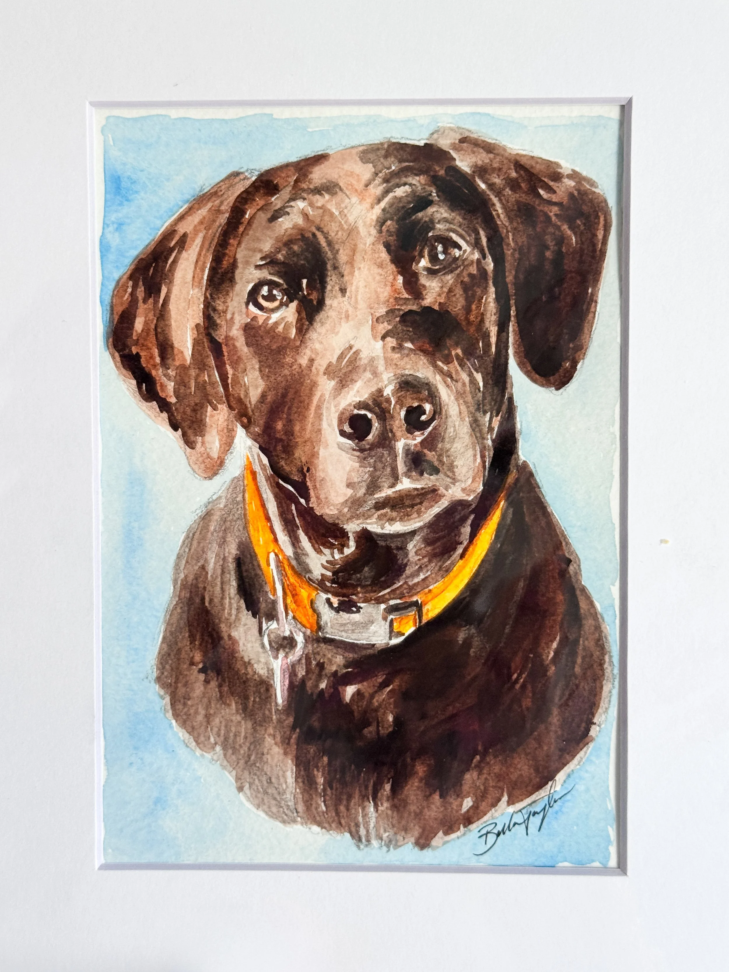 Watercolor painting of a brown dog with expressive eyes, wearing an orange collar, against a light blue background.