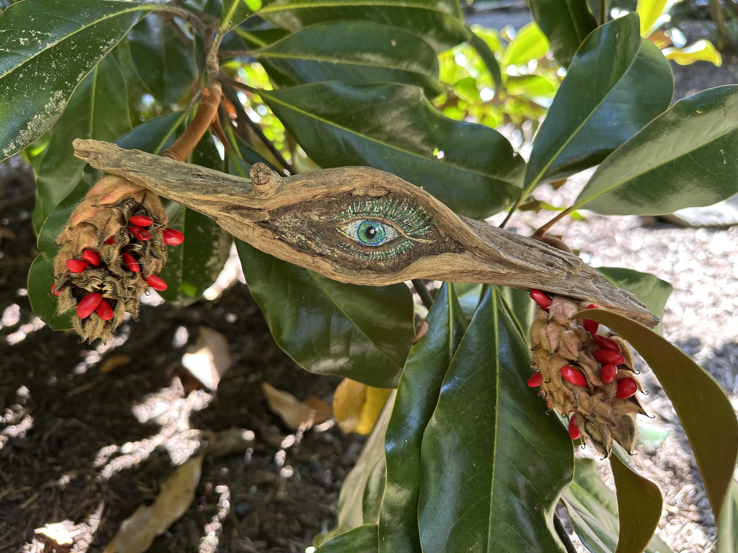 I See You with Magnolia cones, 2025.jpg