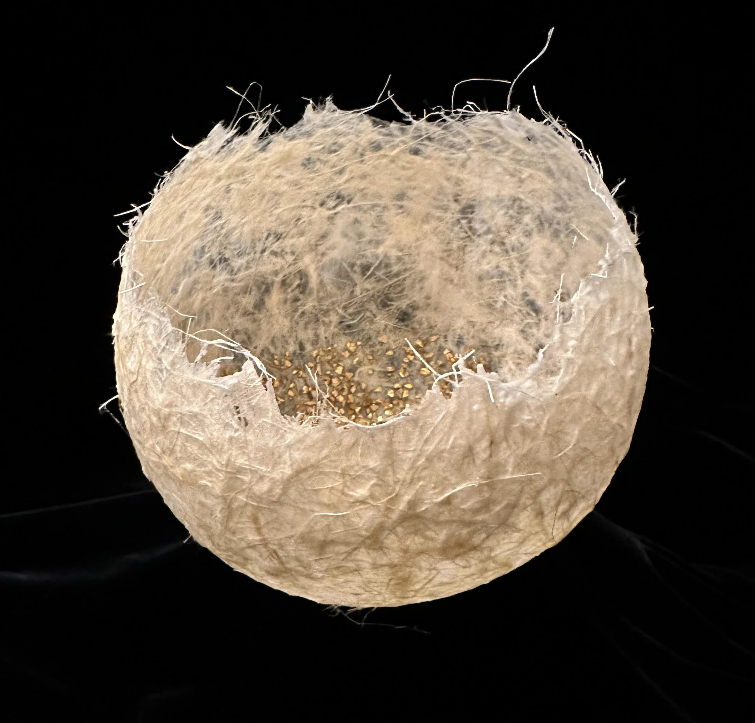 May 2024. Mother love. 5x5x5..jpg