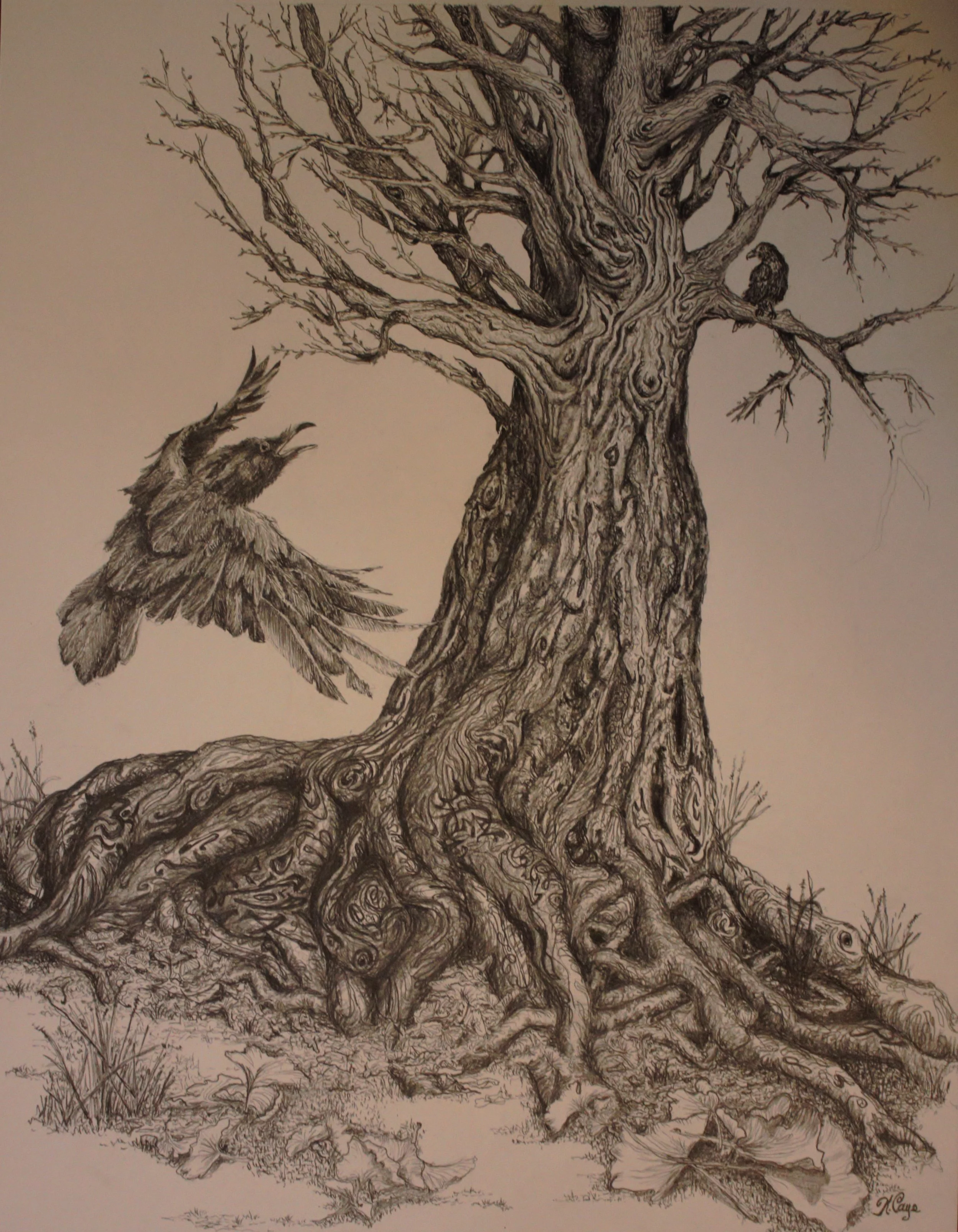 Enduring and Transforming. 2022.11x14 inches. Graphite on 400 series heaveyweight paper..jpg