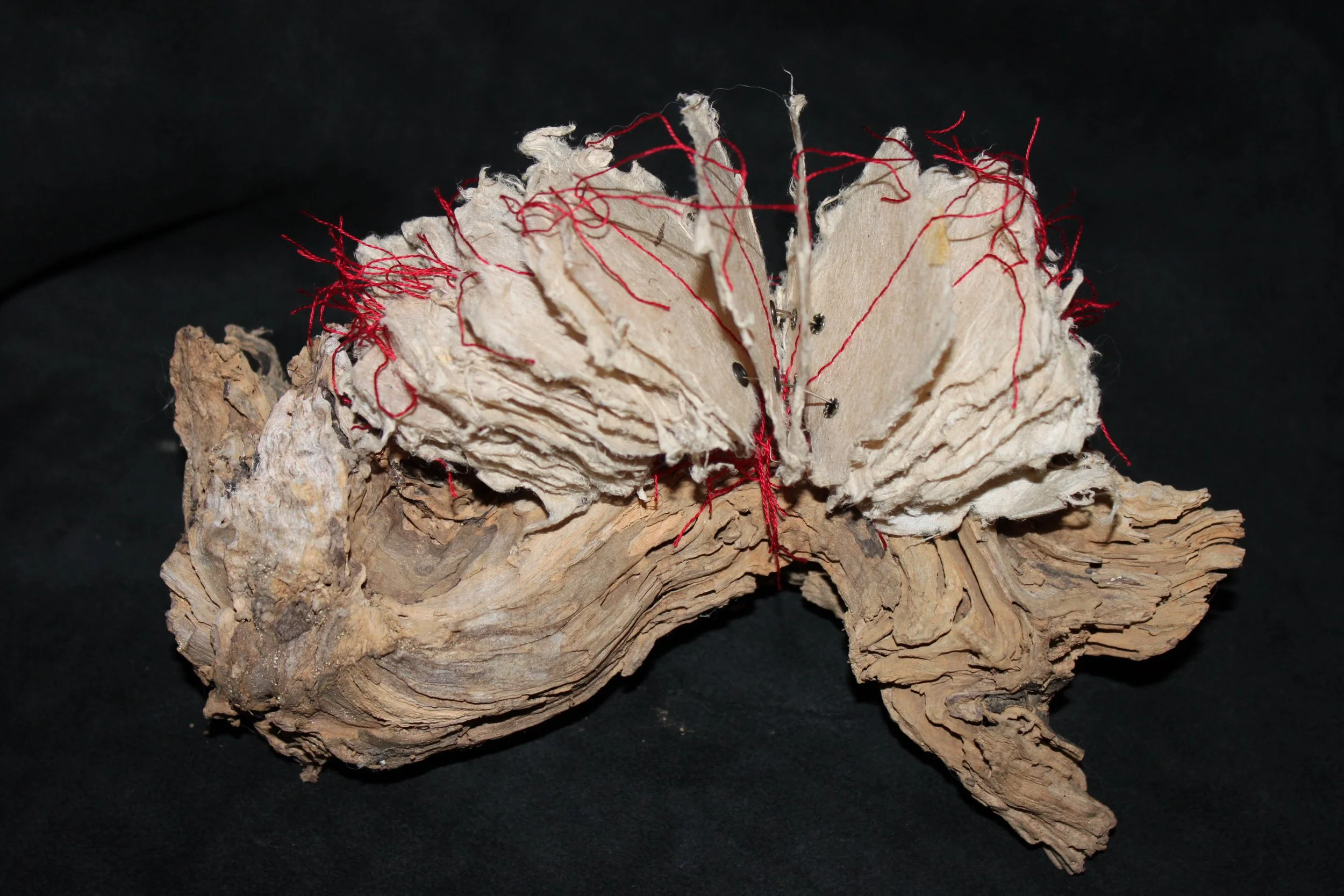 Cays. 2012. A Red Thread. 12x 6x4 inches.jpg