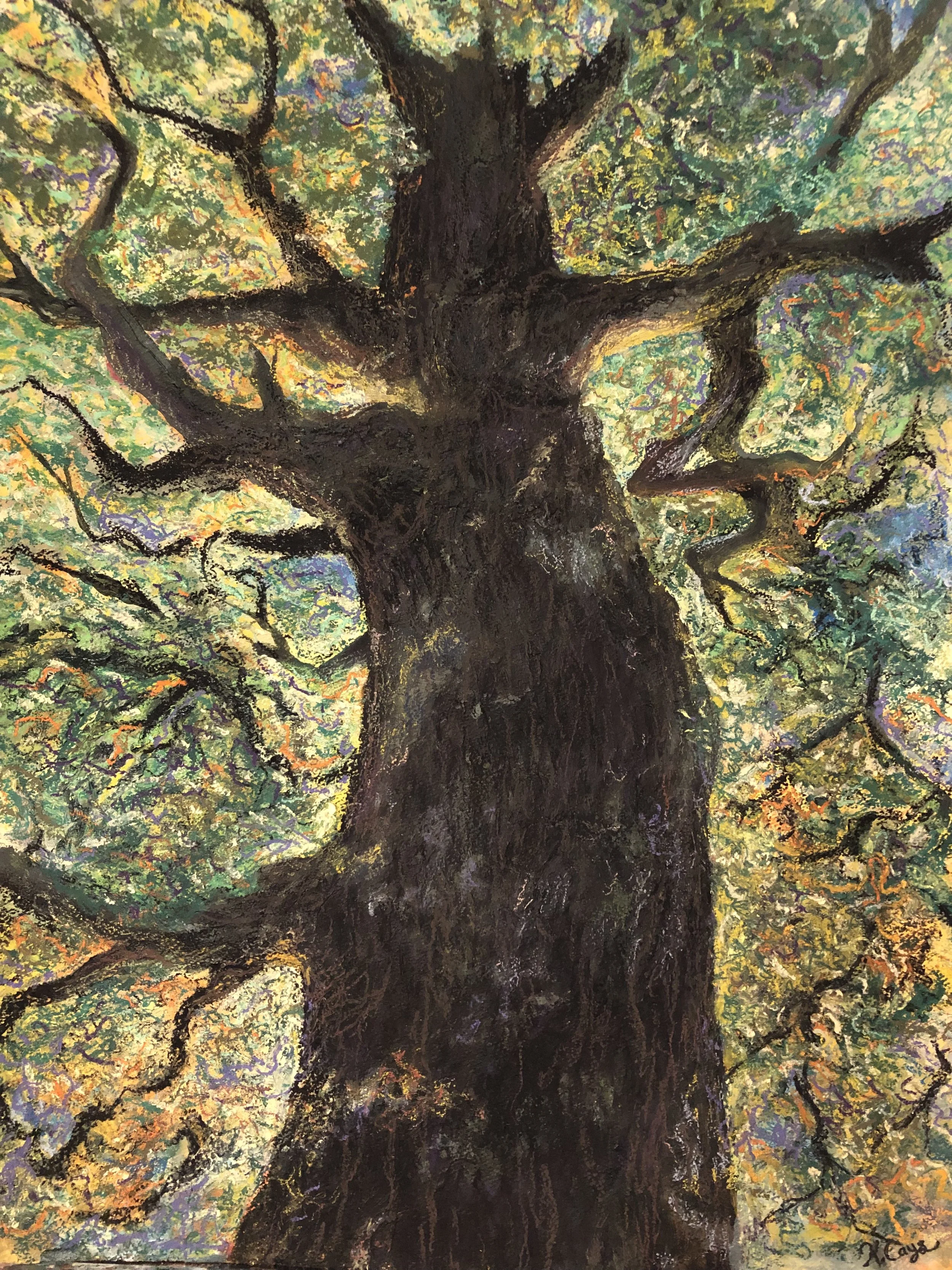 Mother Tree. 2022. 22x 30 inches. multi-media..jpg