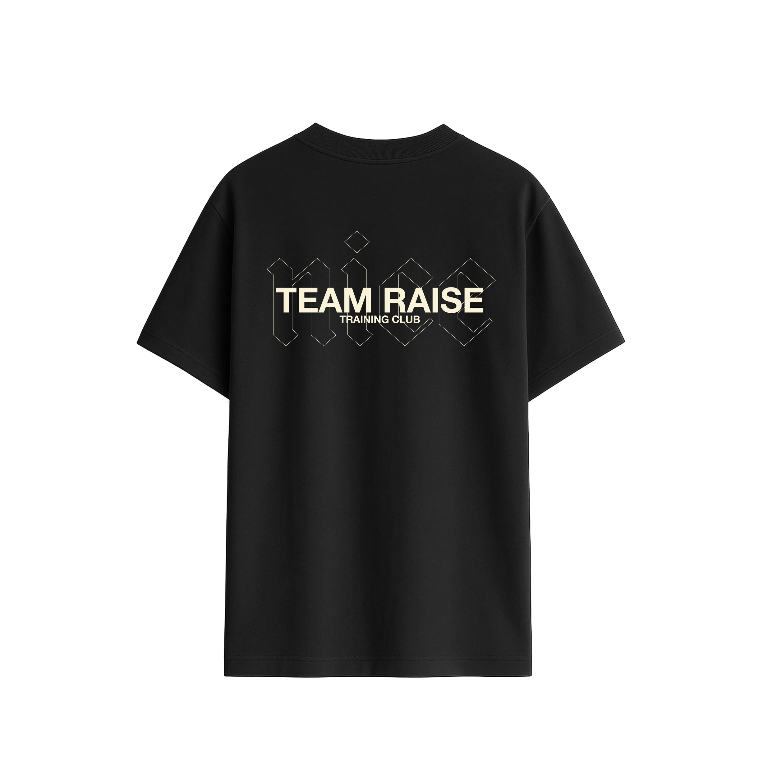 team Raise.png