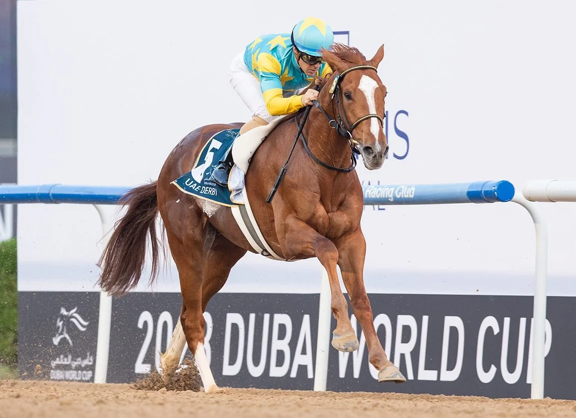 Breeder’s Cup Longshot:               Derma Sotogake