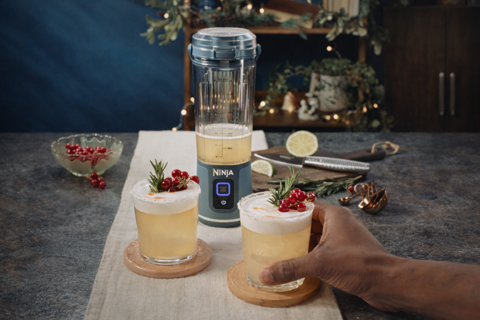 NINJA X SHARK CHRISTMAS CAMPAIGN