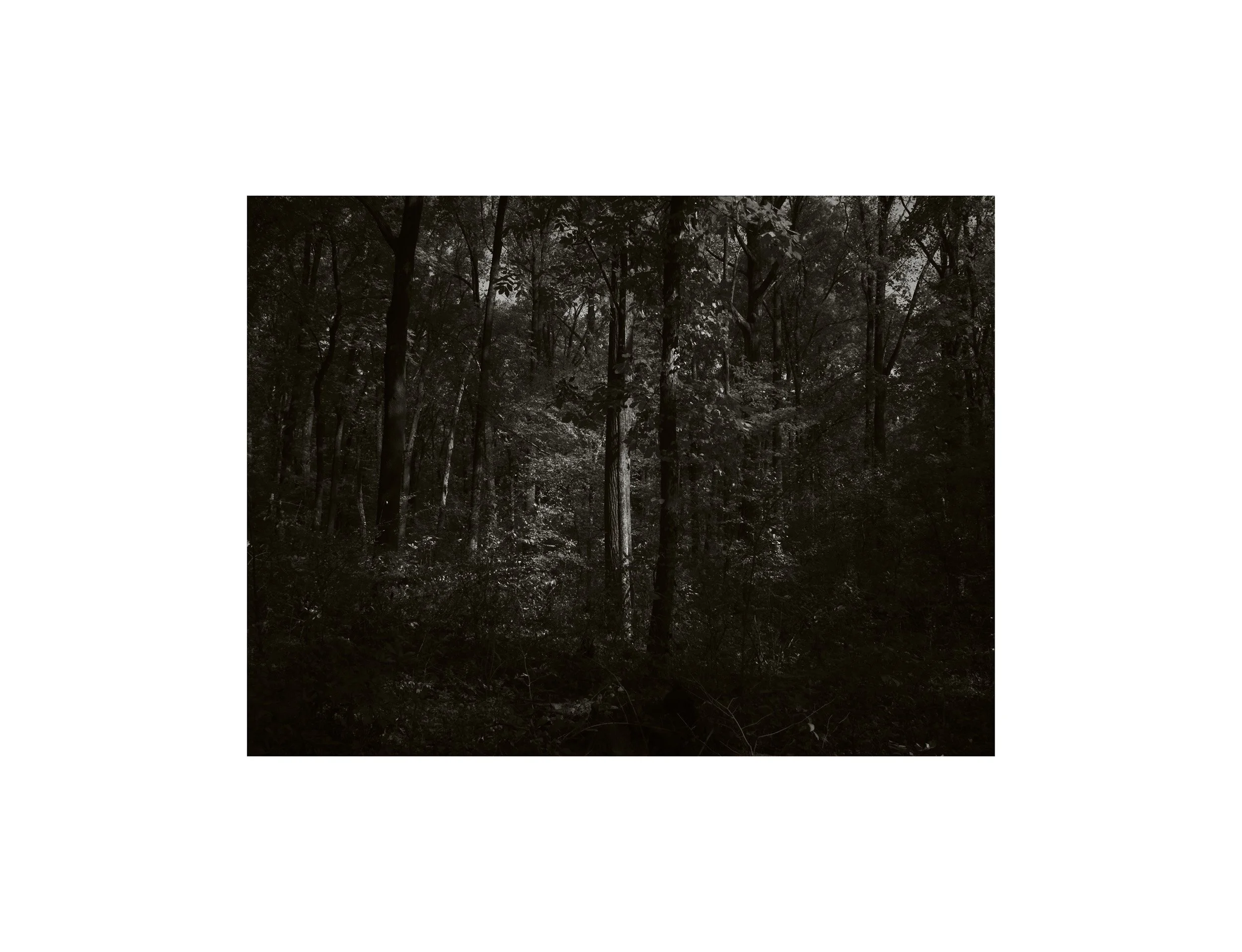 DSCF9433.jpg