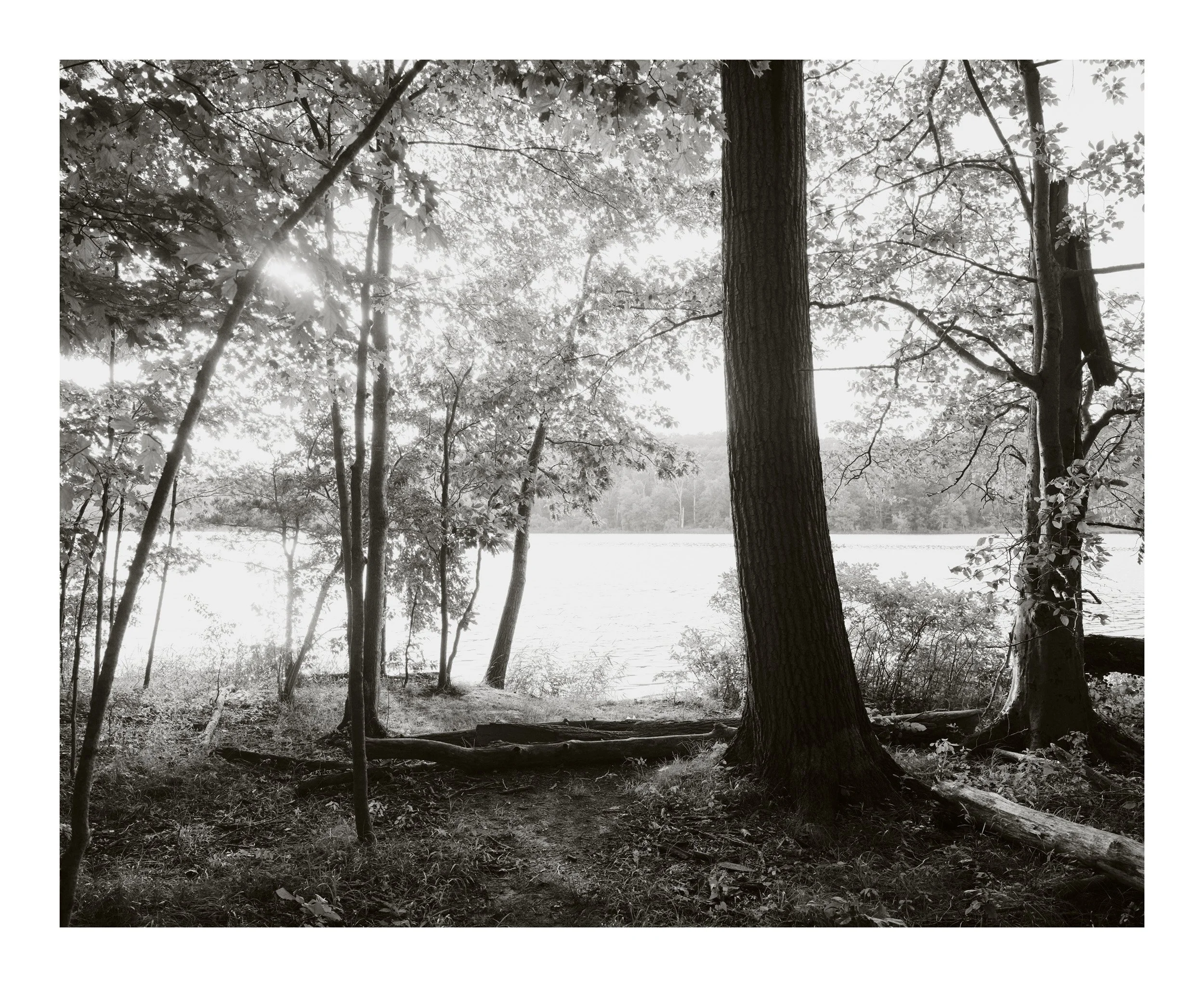 DSCF1586.jpg