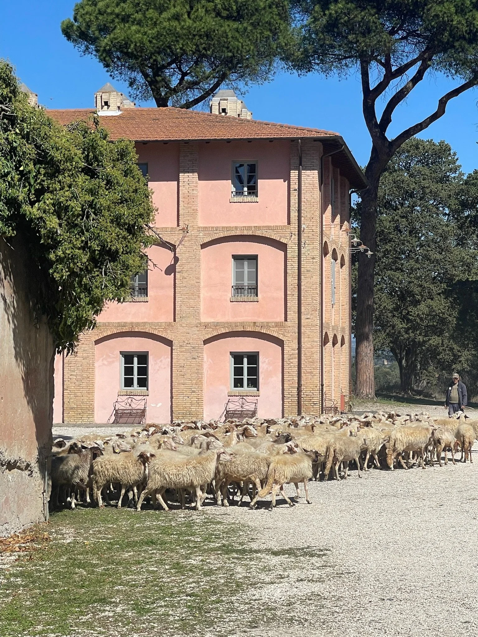 Casali del Pino, the organic farm of Ilaria Venturini Fendi